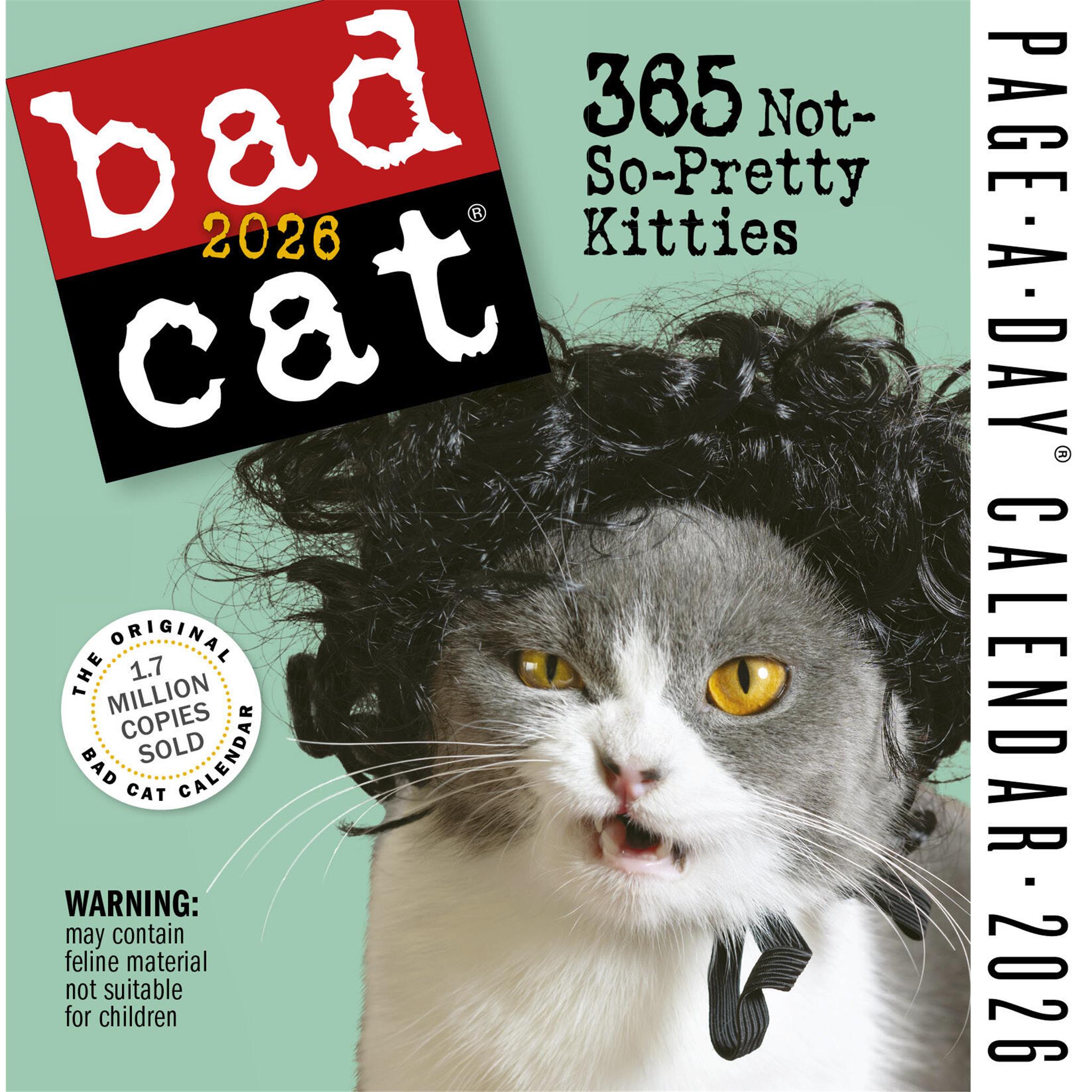 Bad Cat 2026 Box Calendar cover image