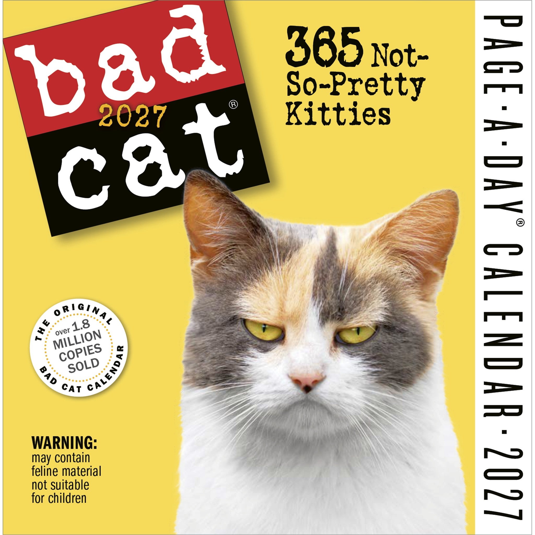 Bad Cat 2027 Box Calendar