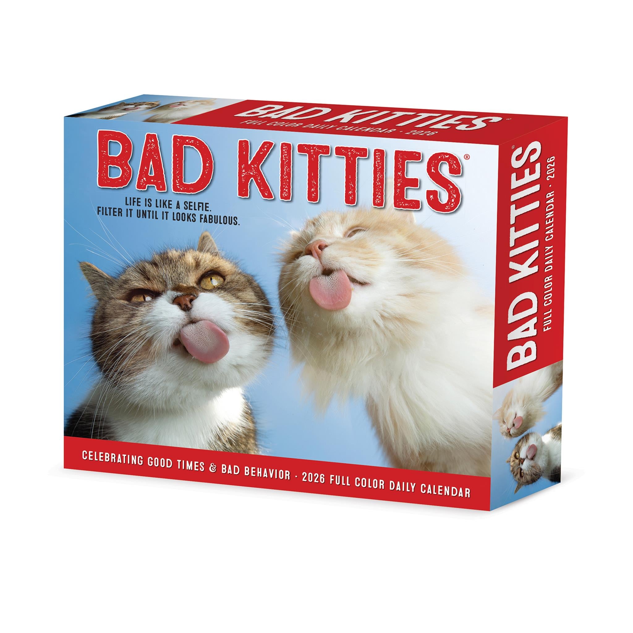 Bad Kitties 2026 Box Calendar packaging