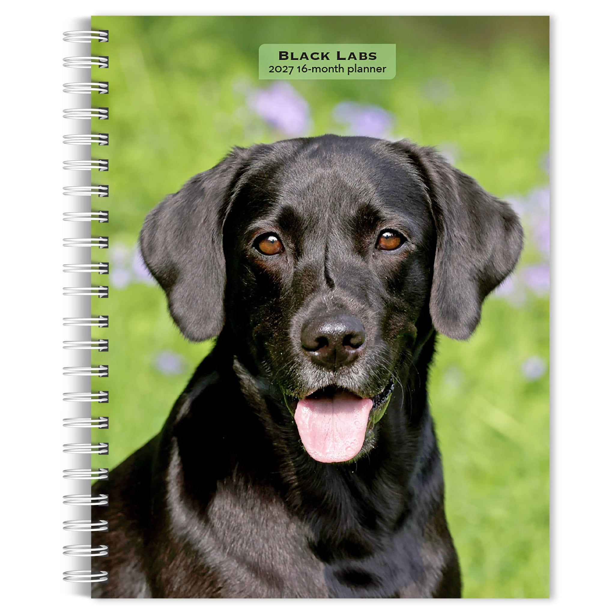 Black Labs 2027 Engagement Calendar - Online Only