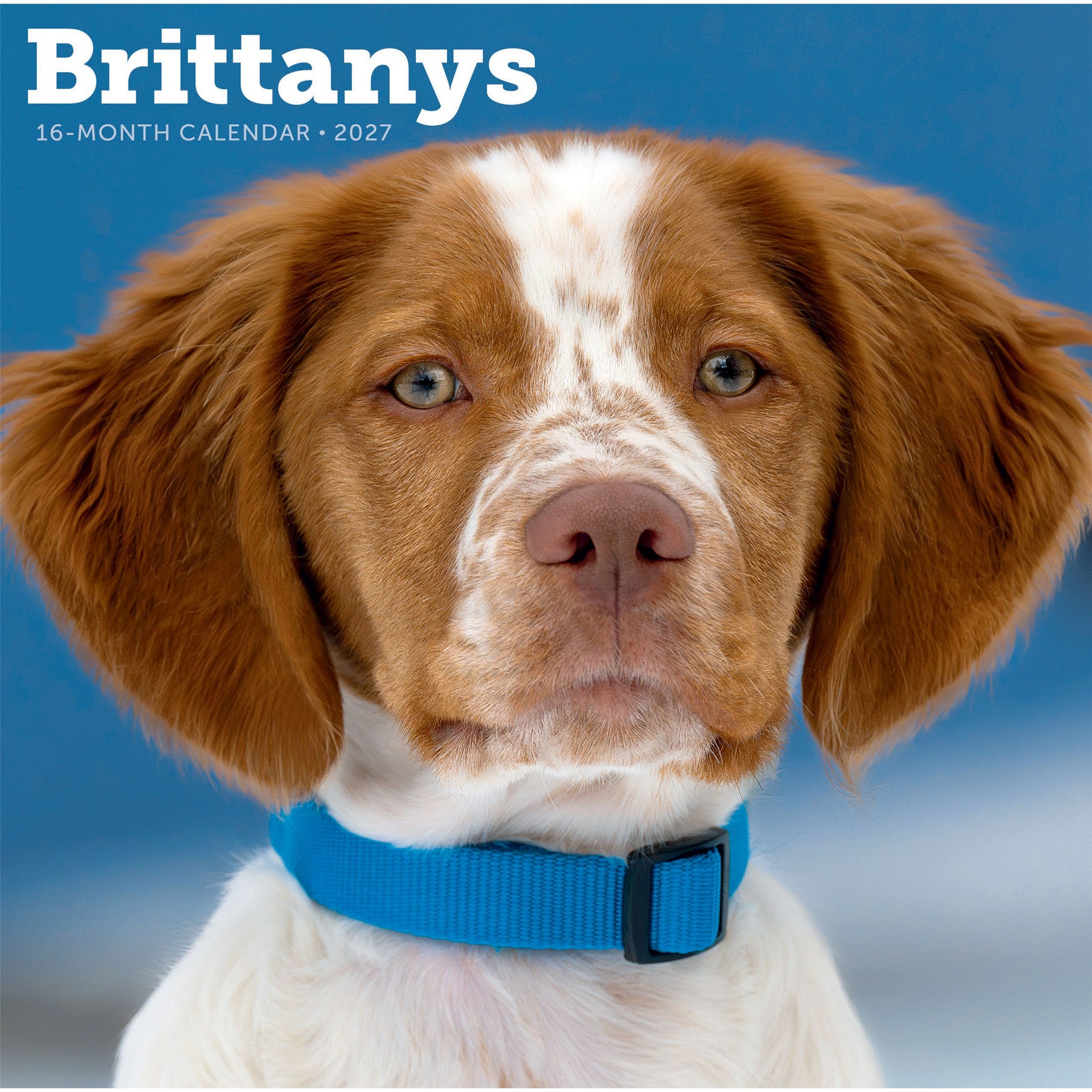 Brittanys 2027 Wall Calendar