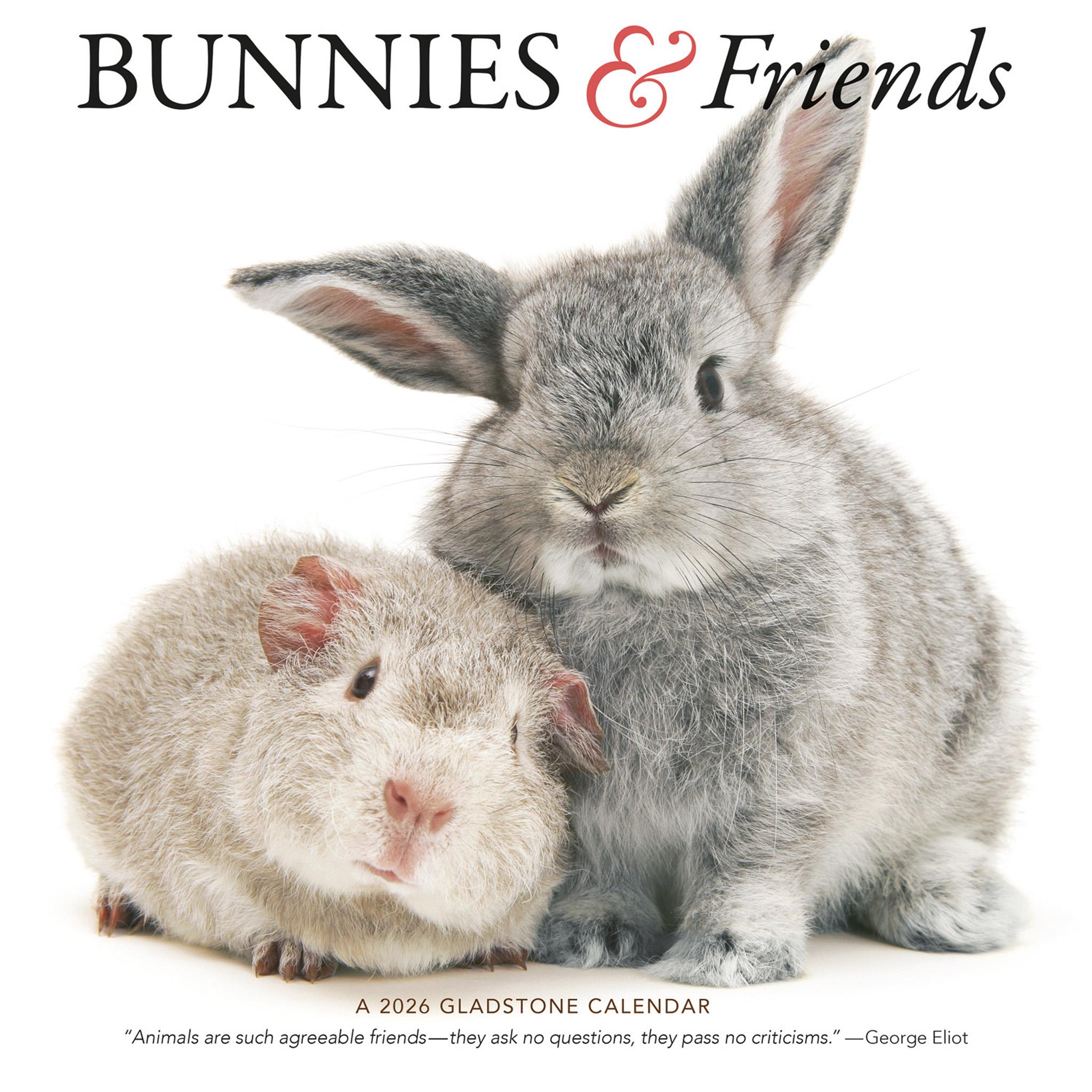 Bunnies And Friends 2026 Wall Calendar