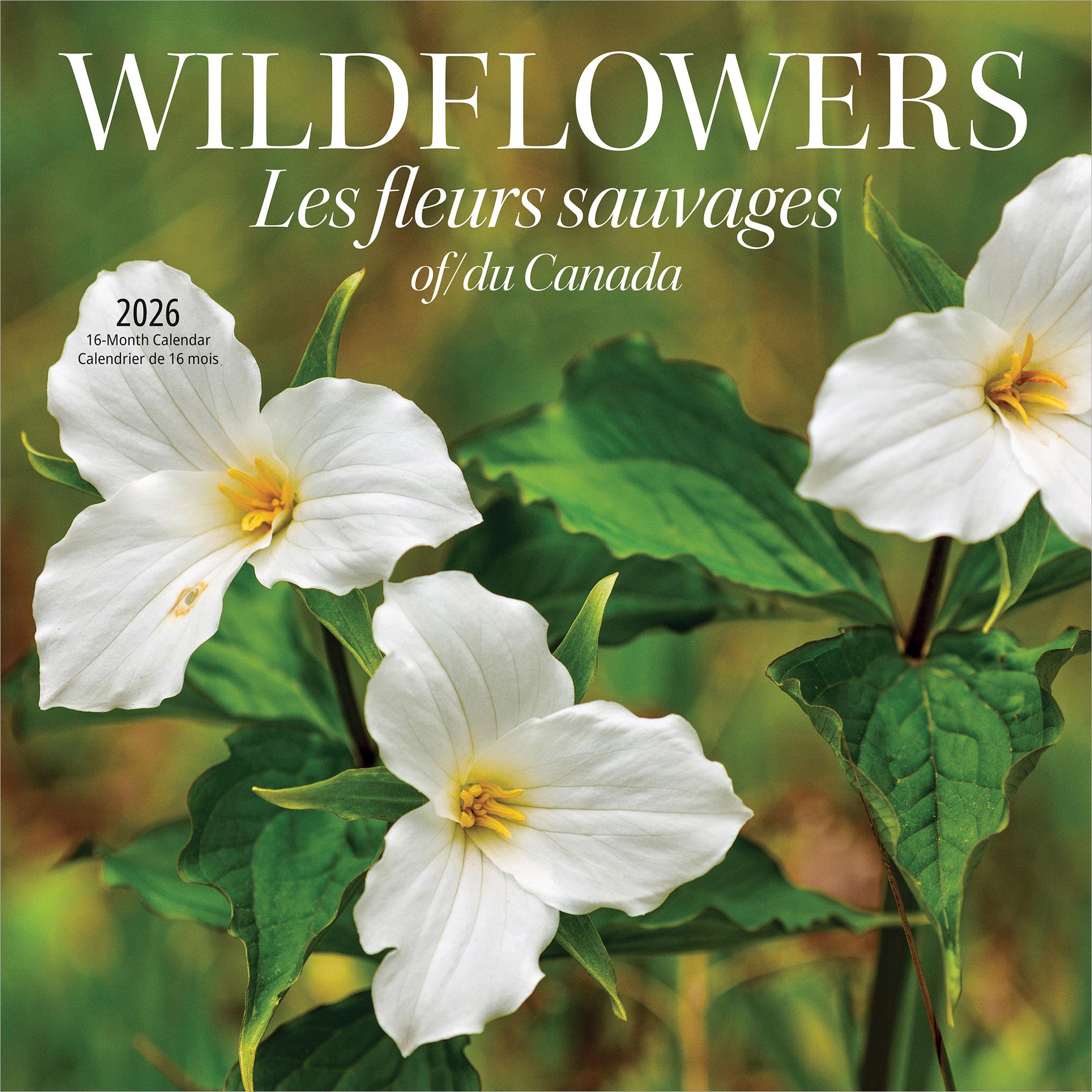 Wildflowers Of Canada 2026 Wall Calendar