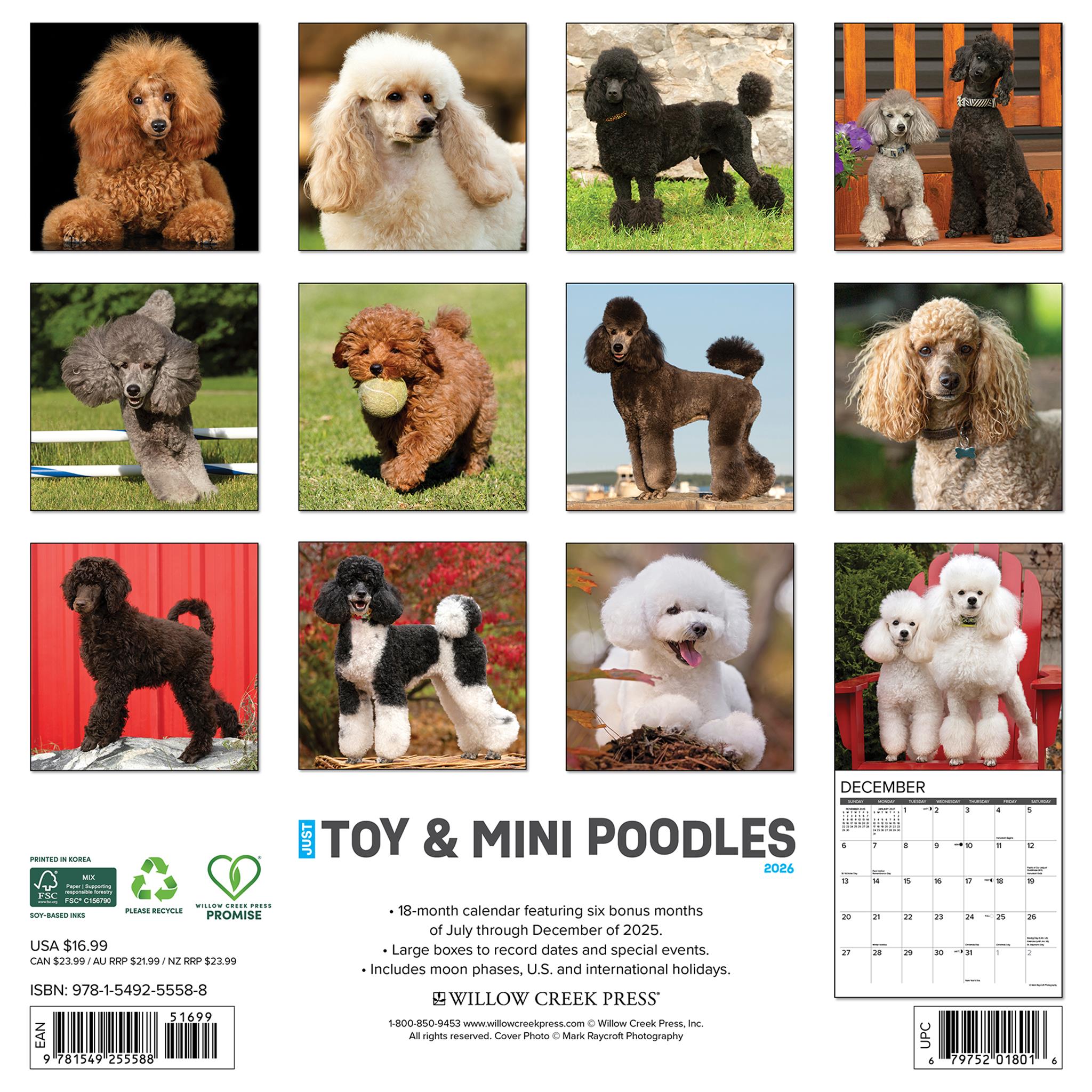 Toy And Miniature Poodles 2026 Wall Calendar - Online Only