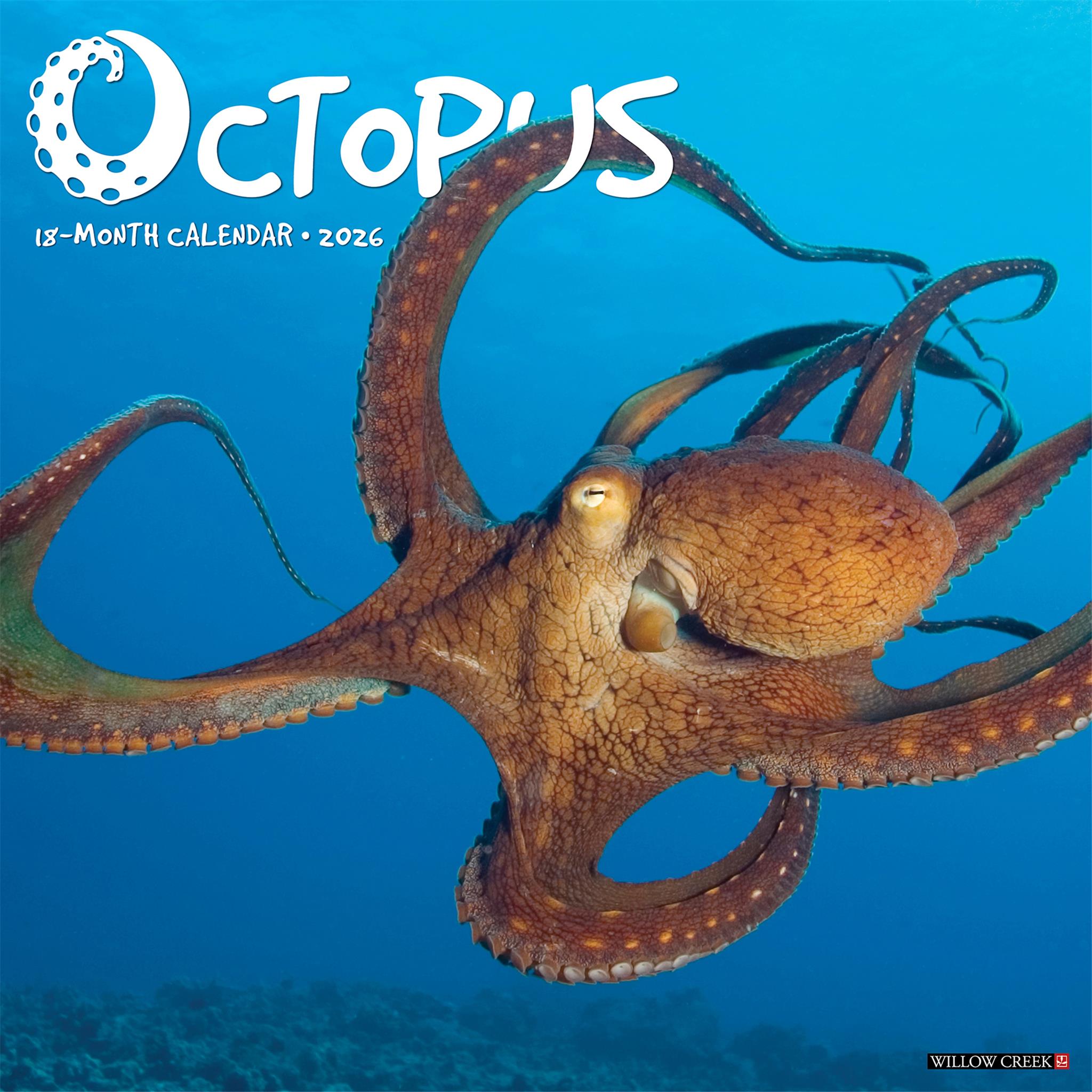 Octopus 2026 Wall Calendar