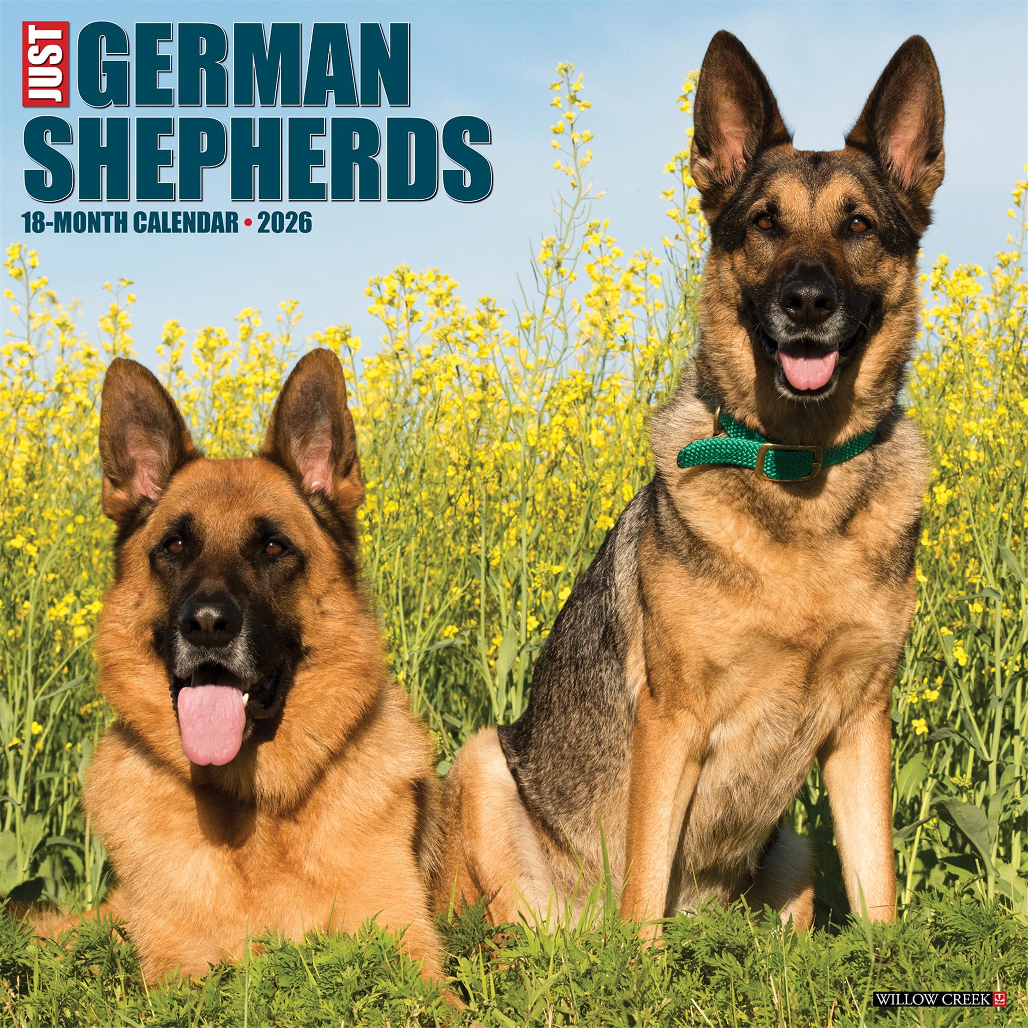 Just German Shepherds 2026 Wall Calendar