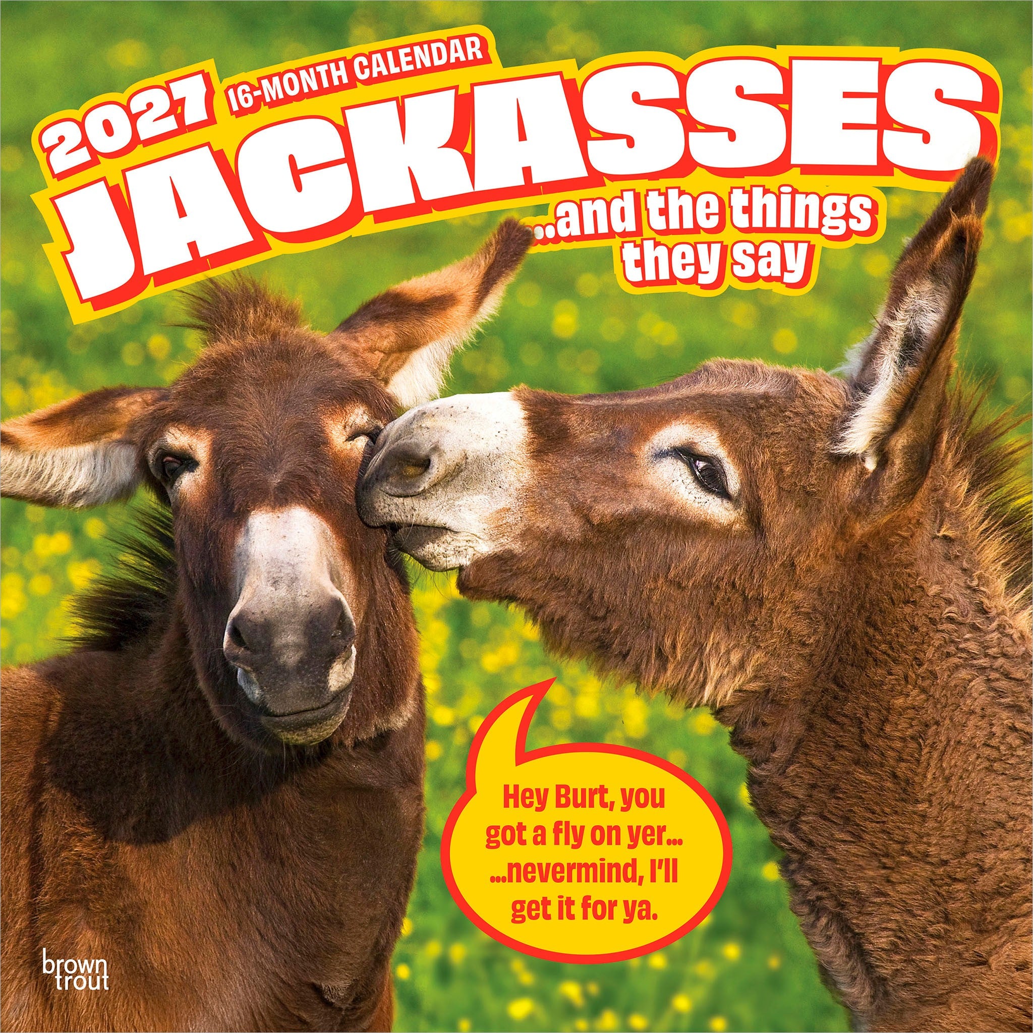 Jackasses 2027 Wall Calendar