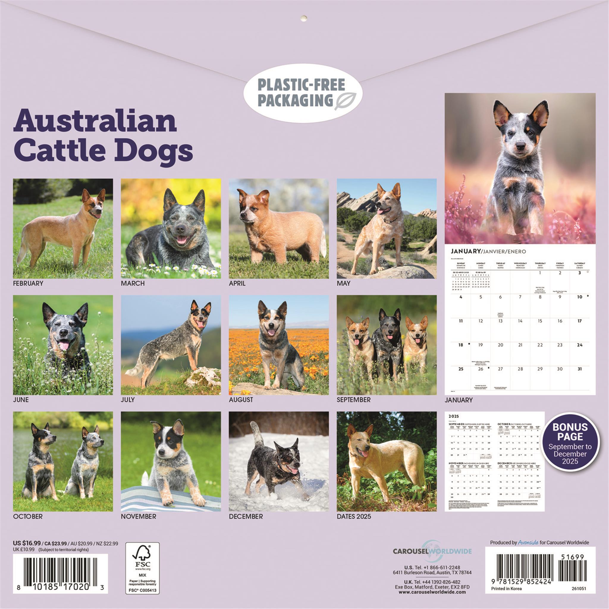 Australian Cattle Dogs 2026 Wall Calendar