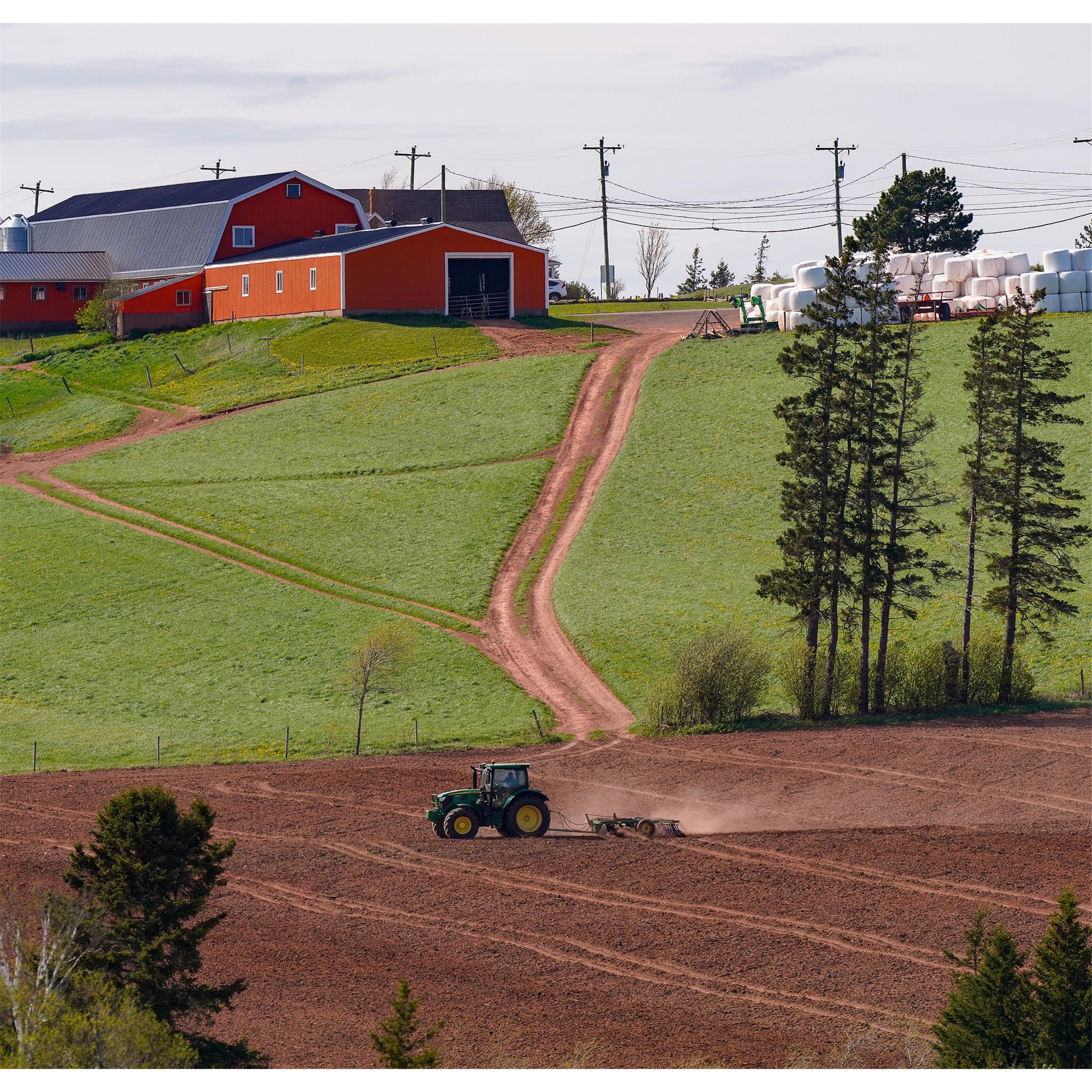 Prince Edward Island 2026 Wall Calendar