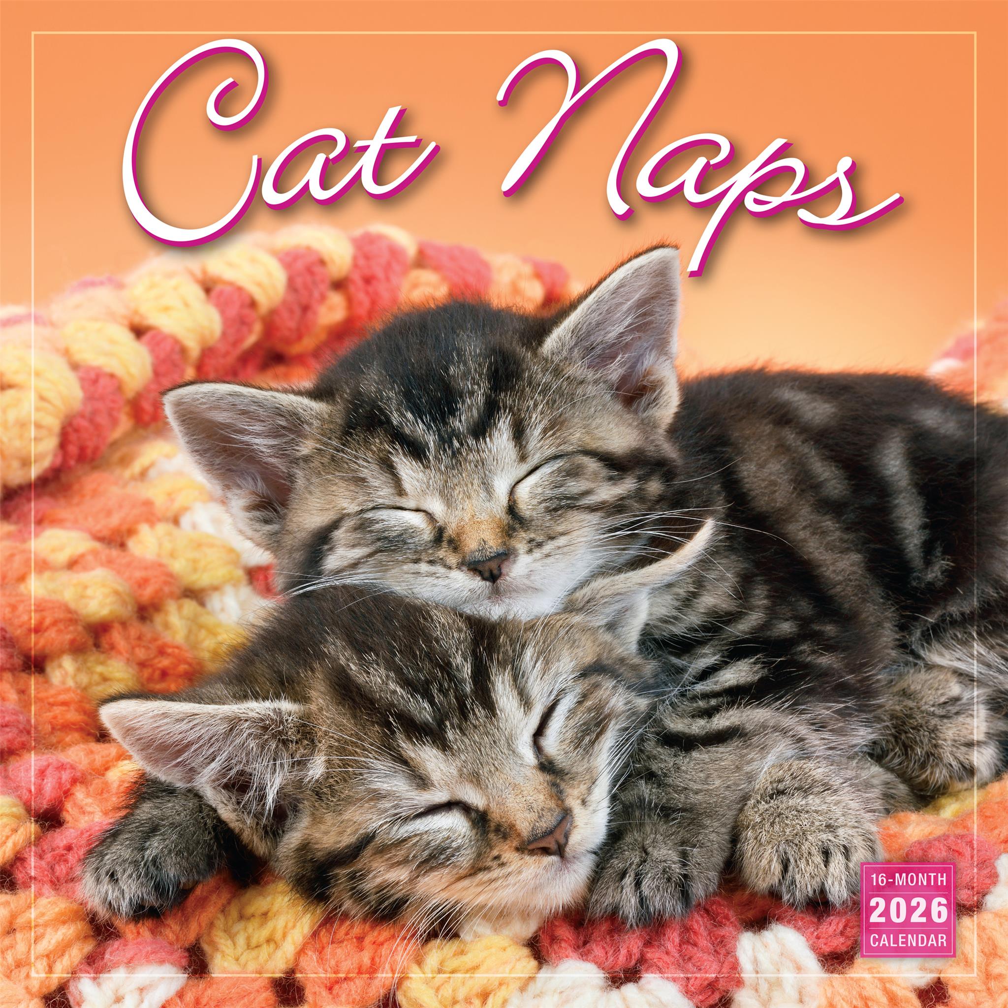 Cat Naps 2026 Wall Calendar - Online Only