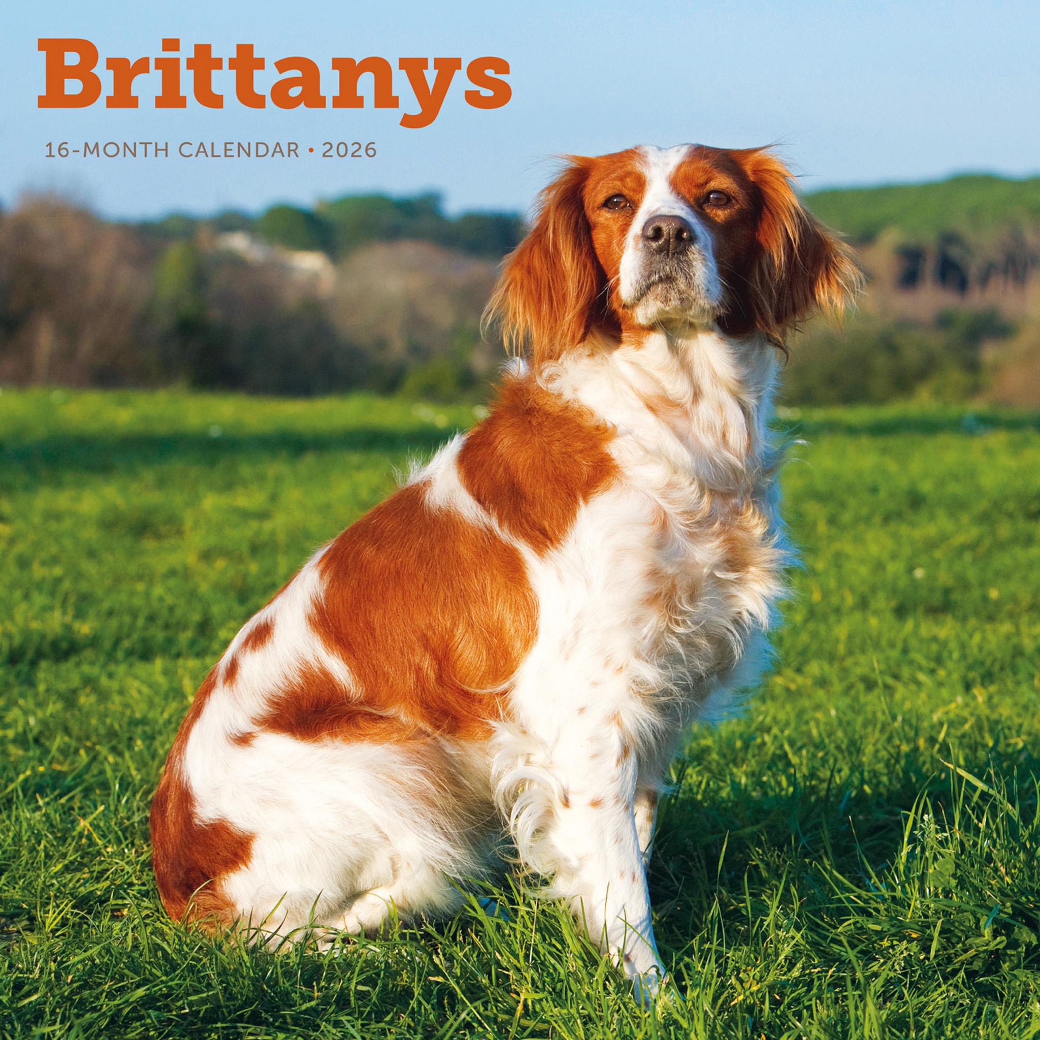Brittanys 2026 Wall Calendar