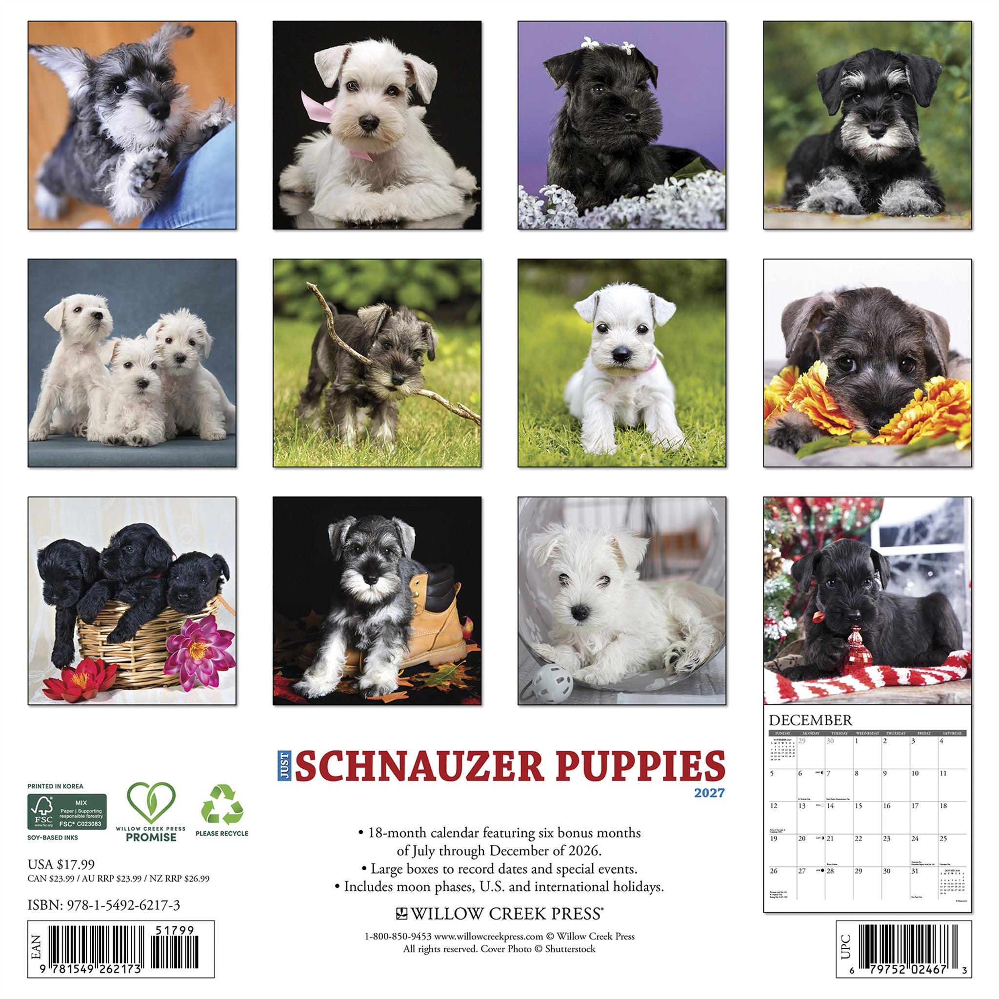 Schnauzer Puppies 2027 Wall Calendar