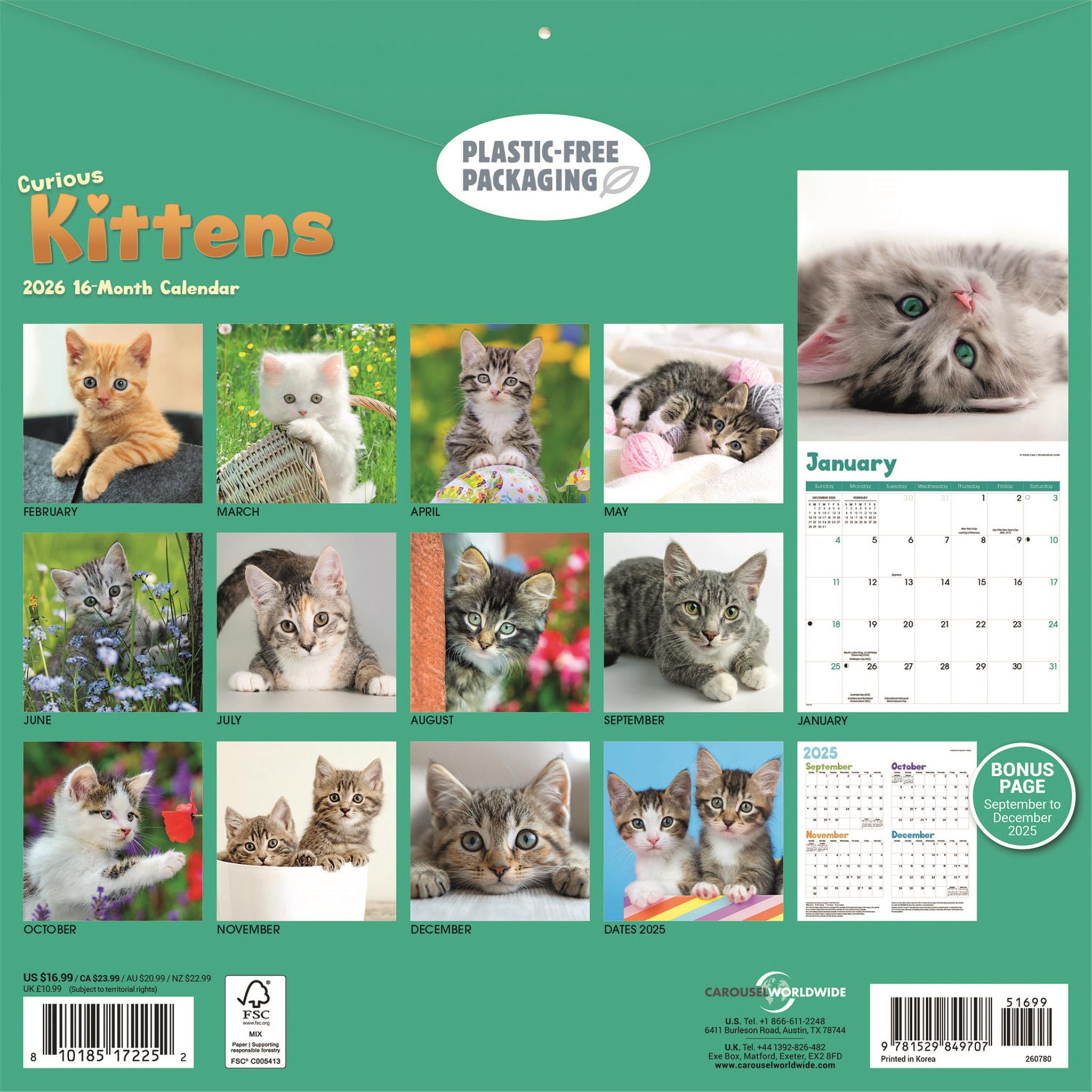 Curious Kittens 2026 Wall Calendar - Calendar Club Canada