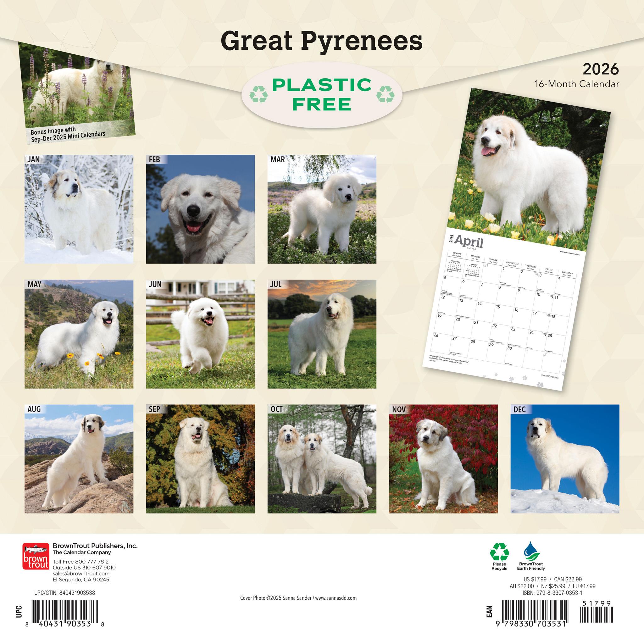 Great Pyrenees 2026 Wall Calendar