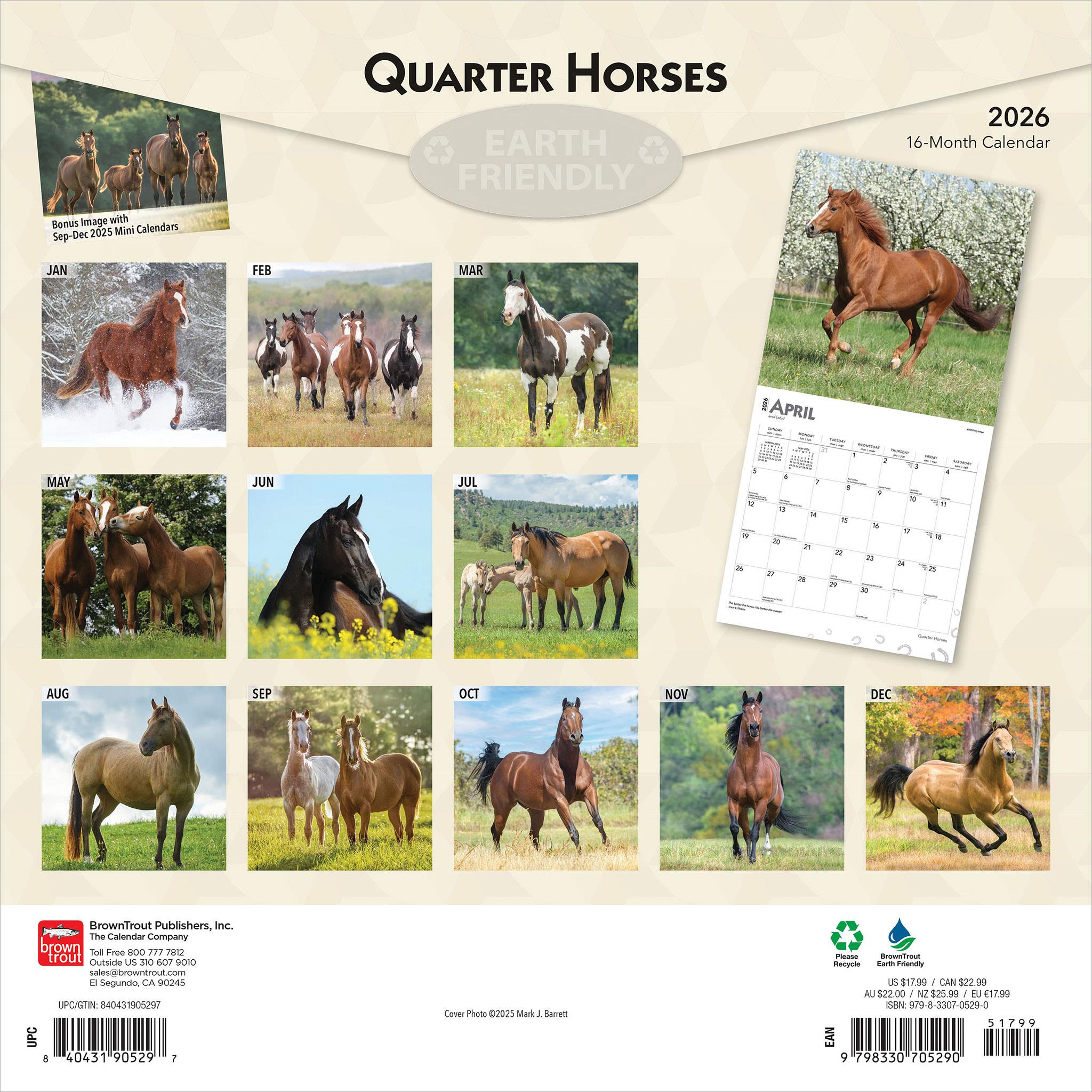 Quarter Horses 2026 Wall Calendar - Online Only