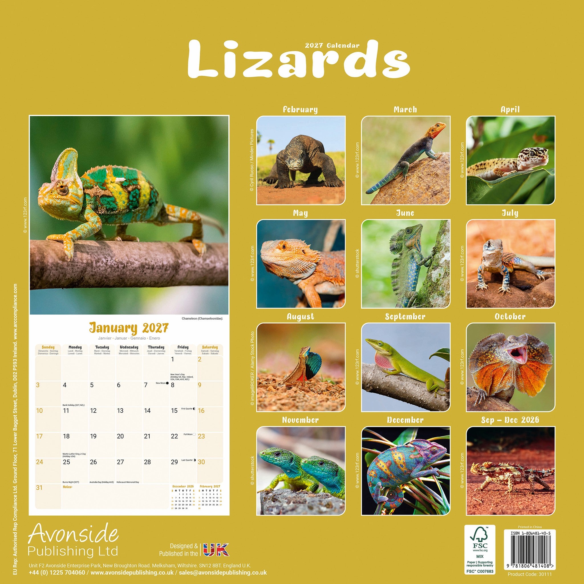 Lizards 2027 Wall Calendar