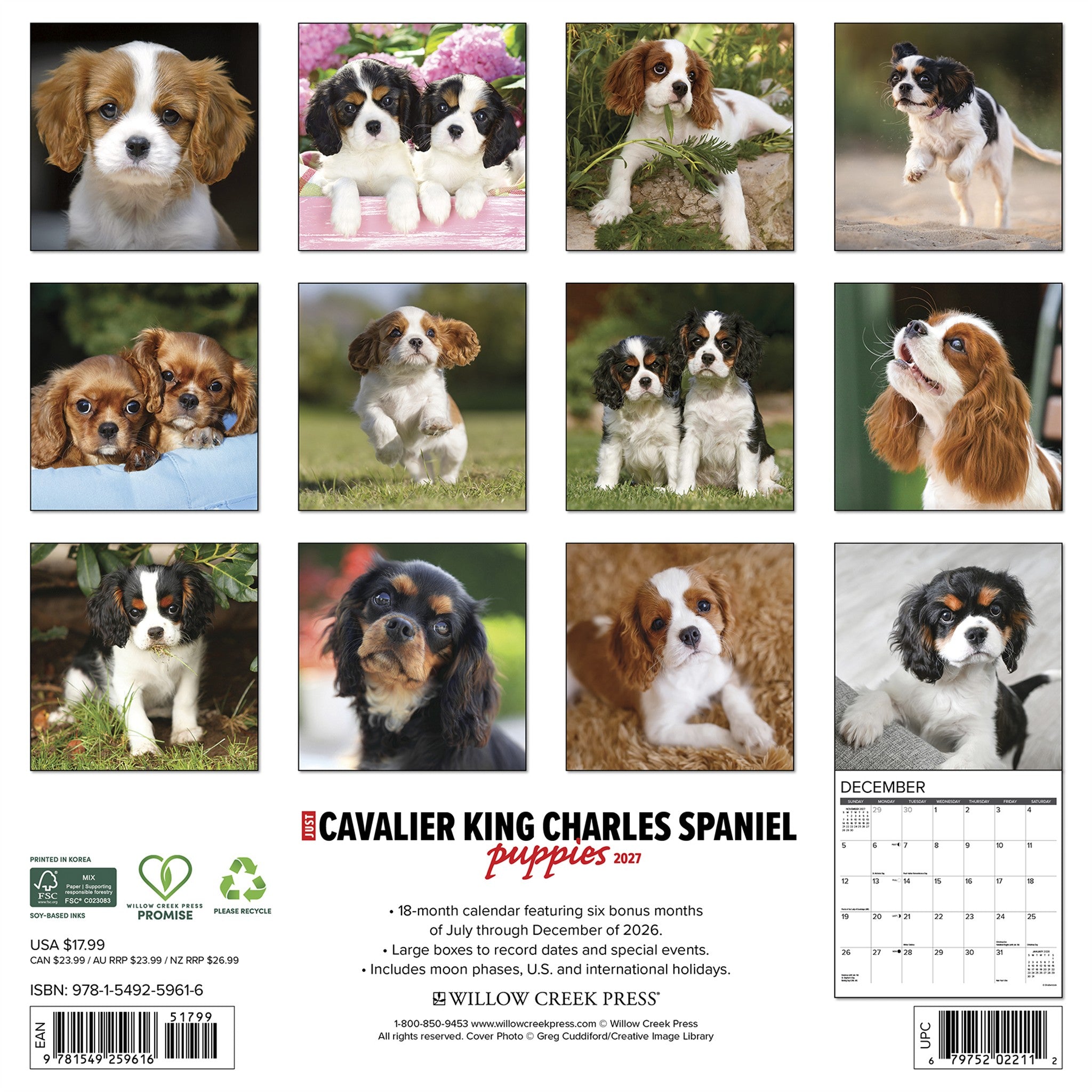 Cavalier King Charles Spaniel Puppies 2027 Wall Calendar - Online Only
