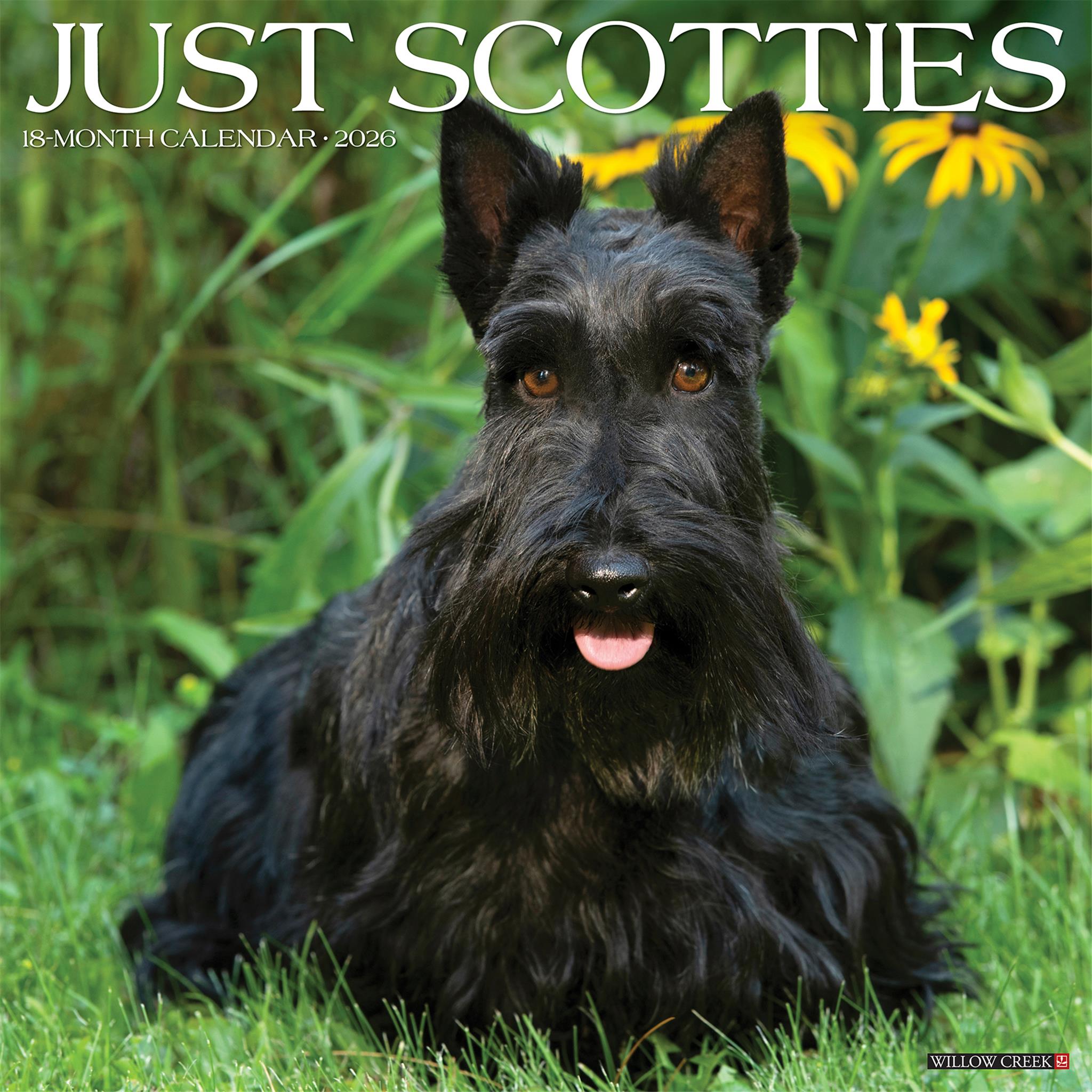 Scotties 2026 Just Wall Calendar