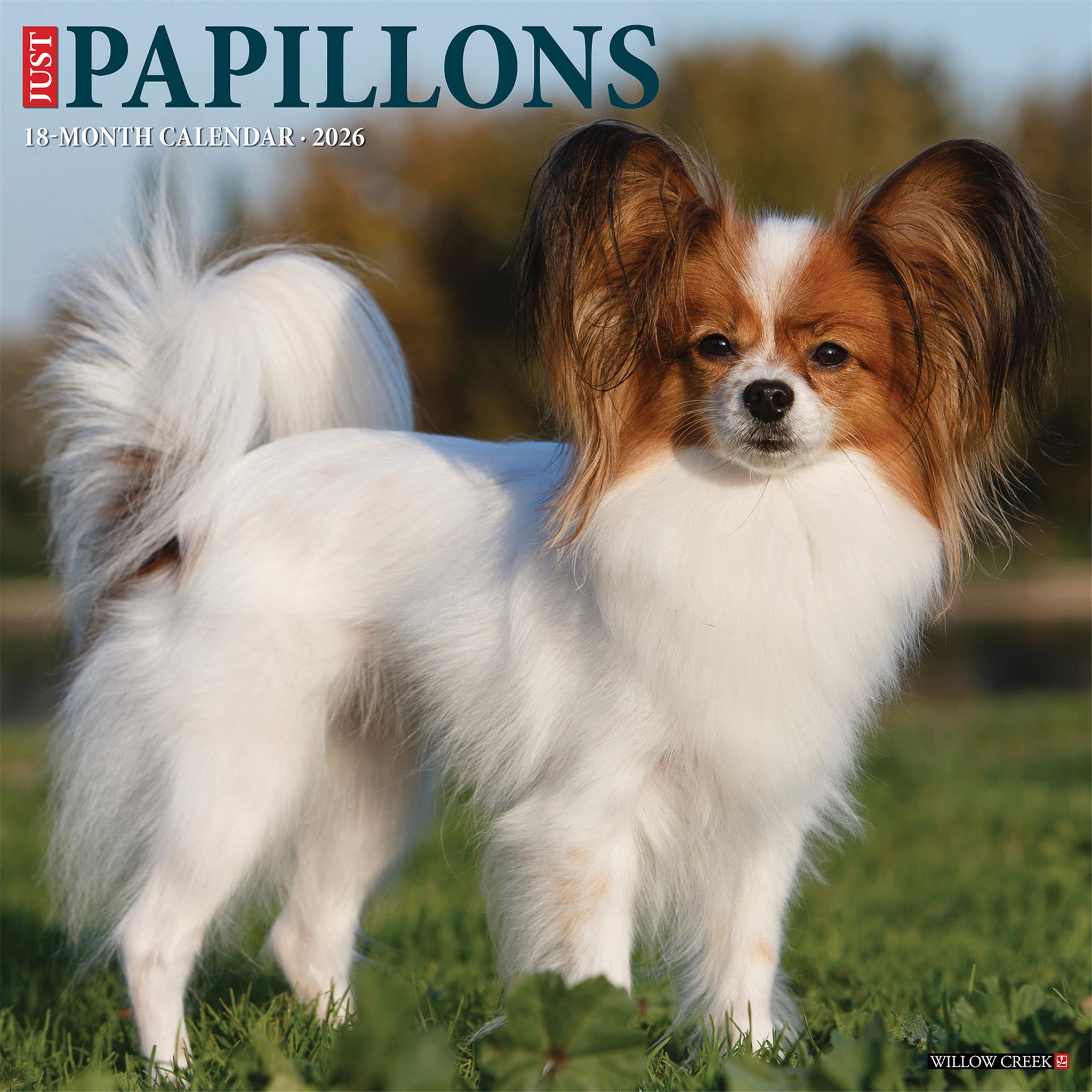 Papillons 2026 Just Wall Calendar - Calendar Club Canada