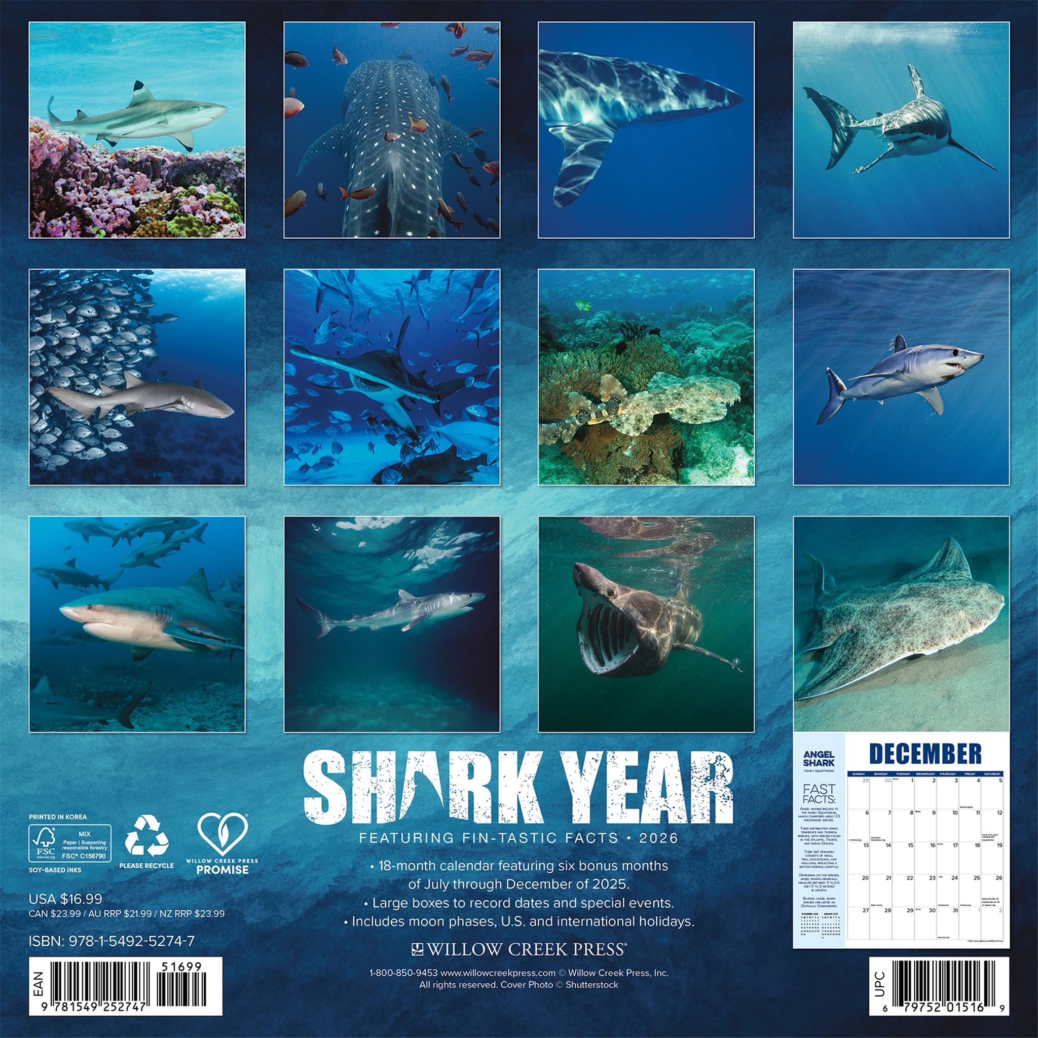 Shark Year 2026 Wall Calendar