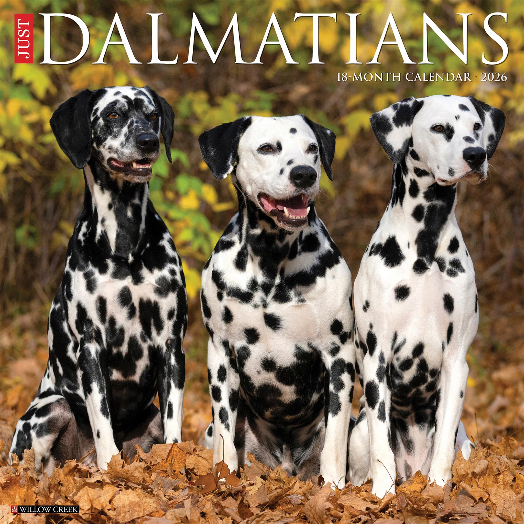 Just Dalmatians 2026 Wall Calendar