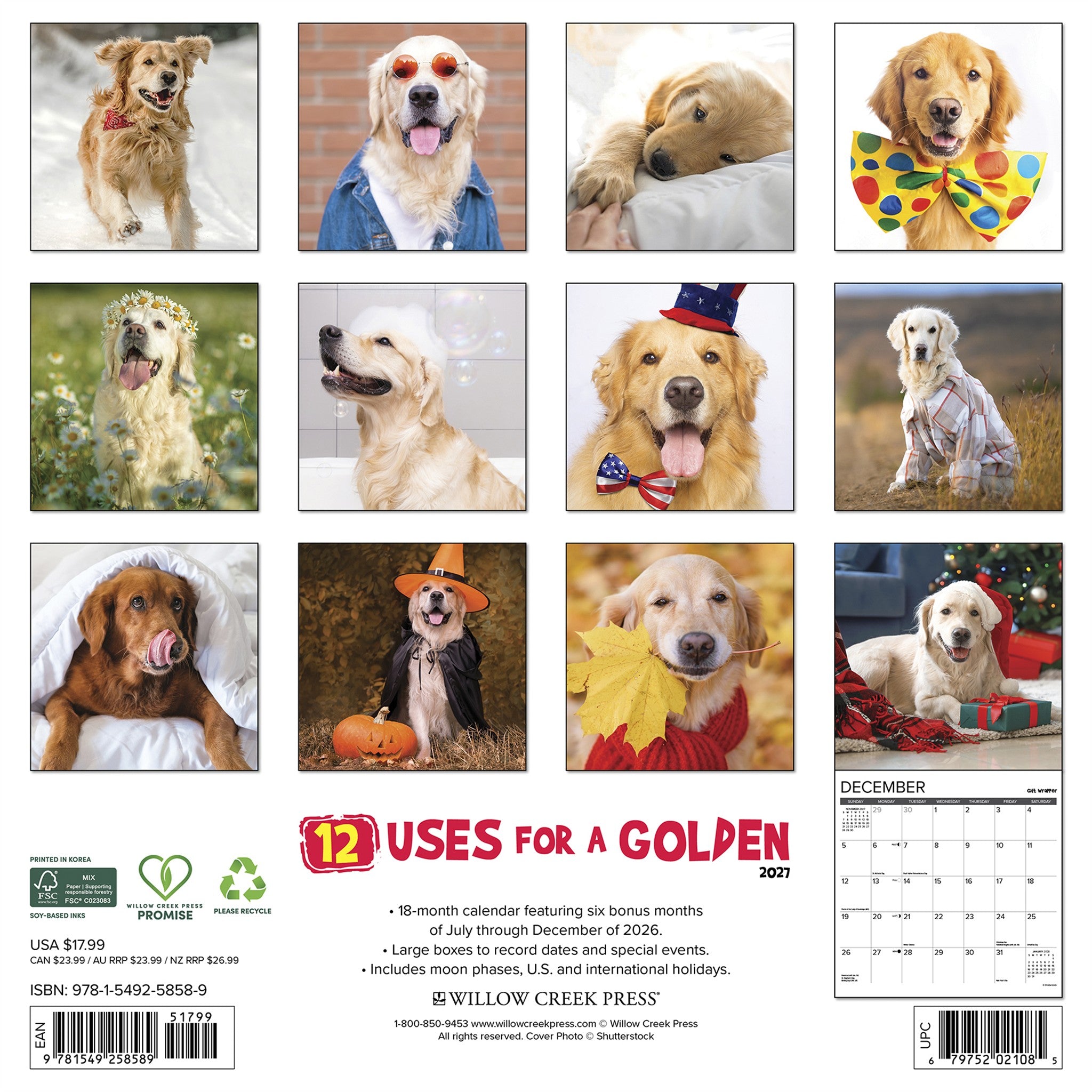 12 Uses for a Golden 2027 Wall Calendar - Online Only