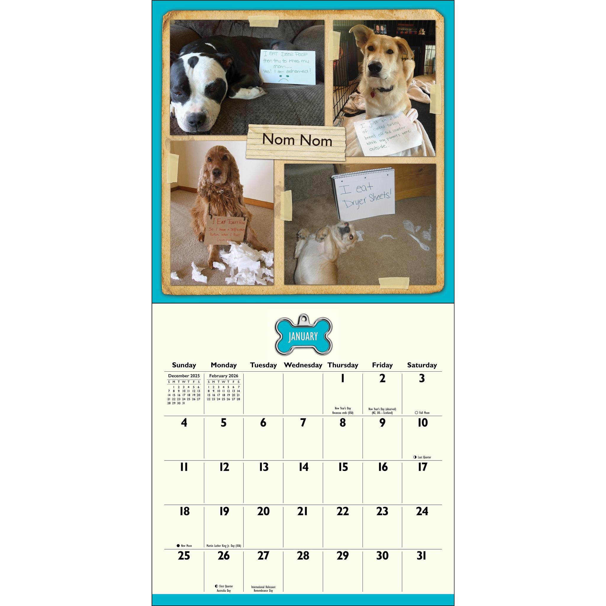 Dog Shaming 2026 Wall Calendar