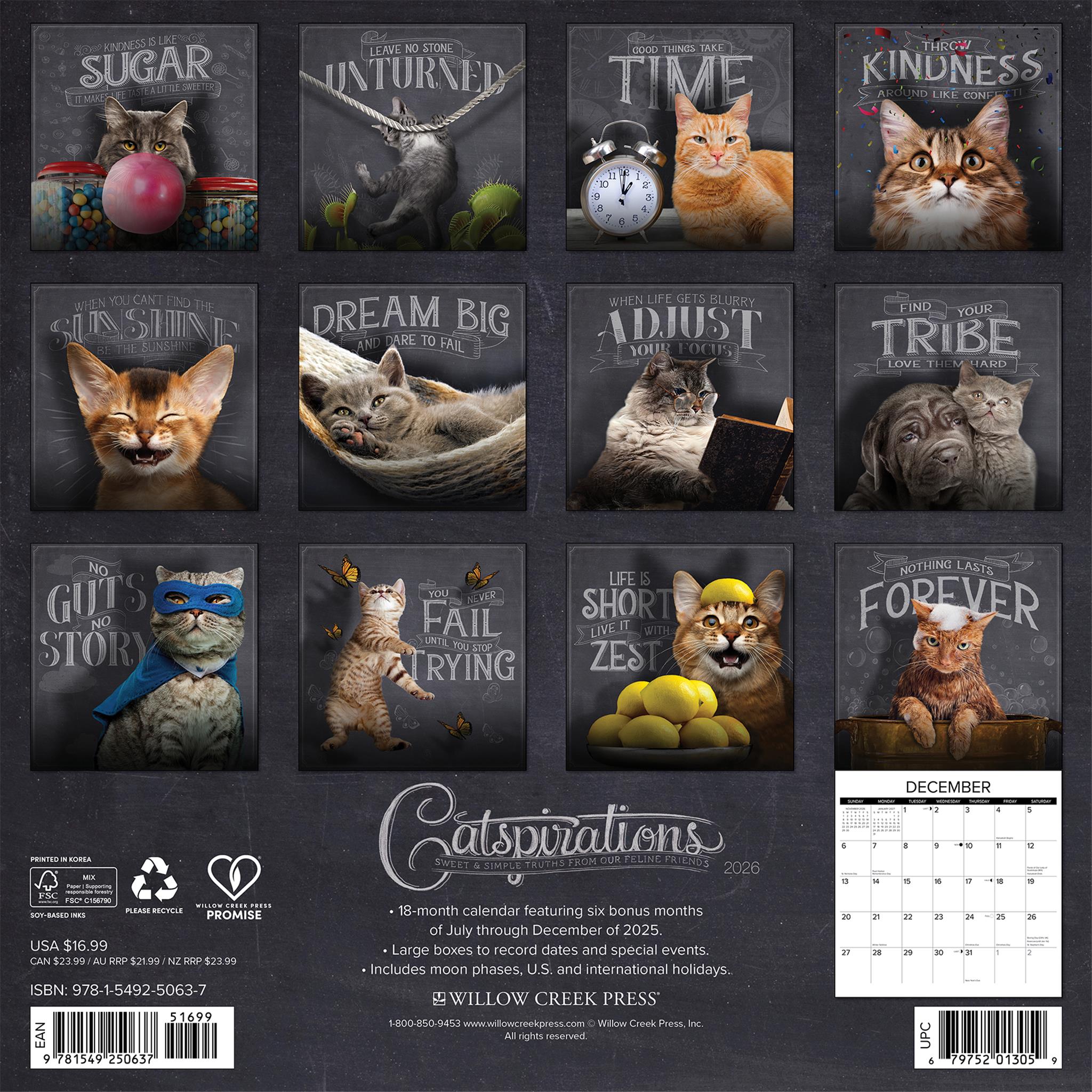 Catspirations 2026 Wall Calendar