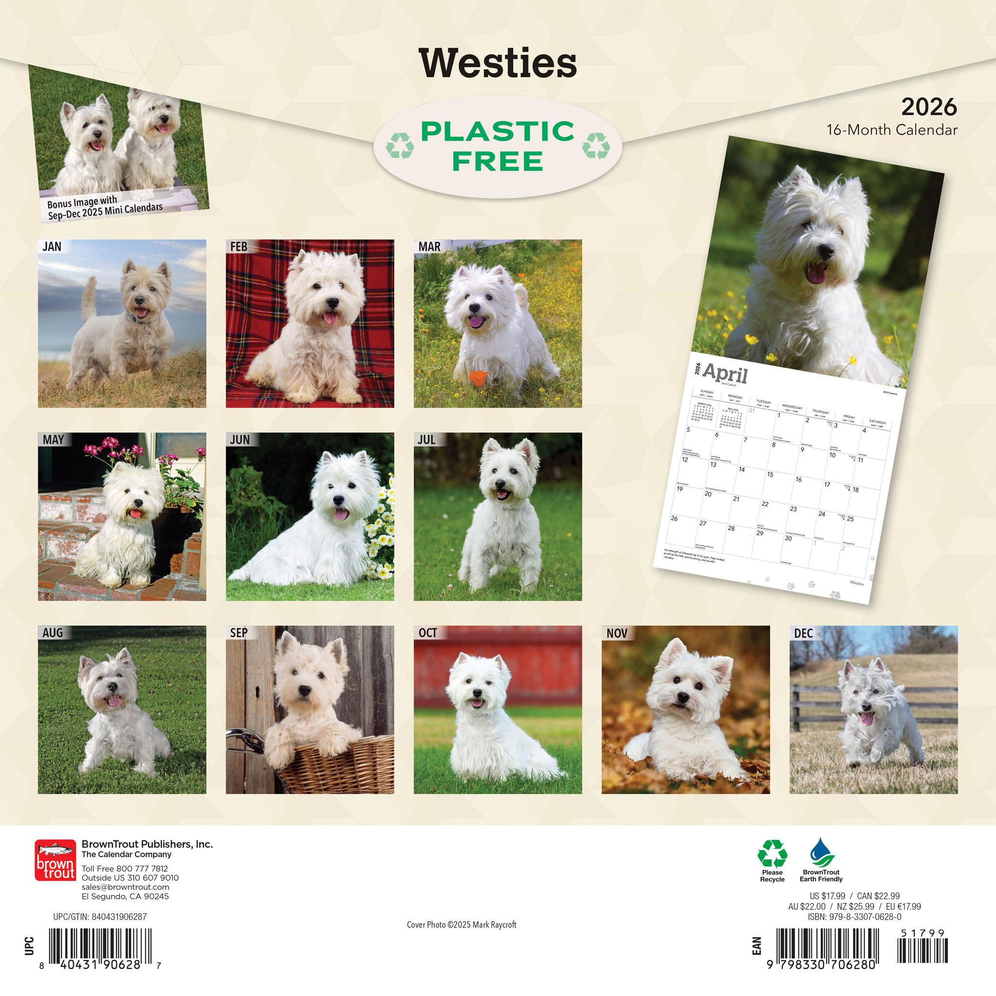 West Highland White Terriers 2026 Wall Calendar