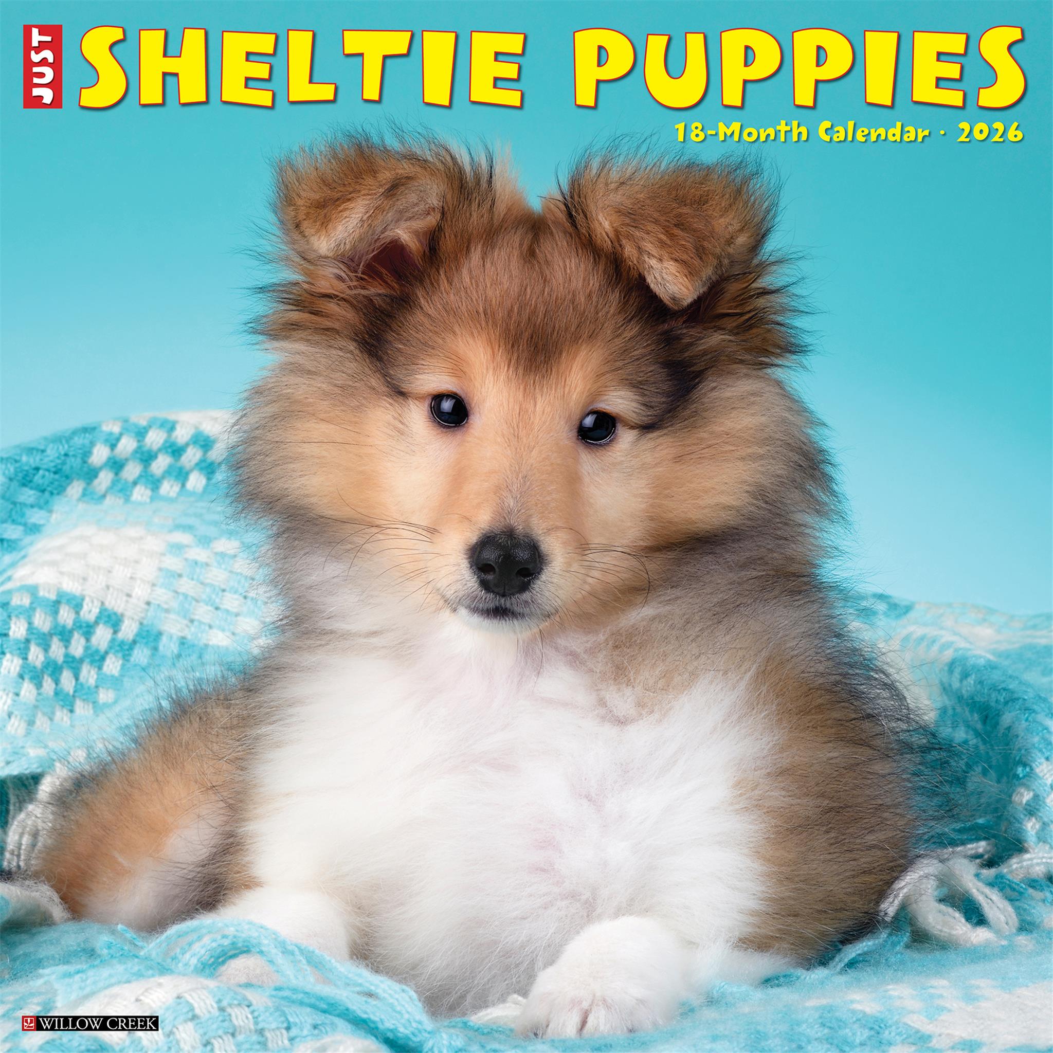 Sheltie Puppies 2026 Just Wall Calendar - Online Only