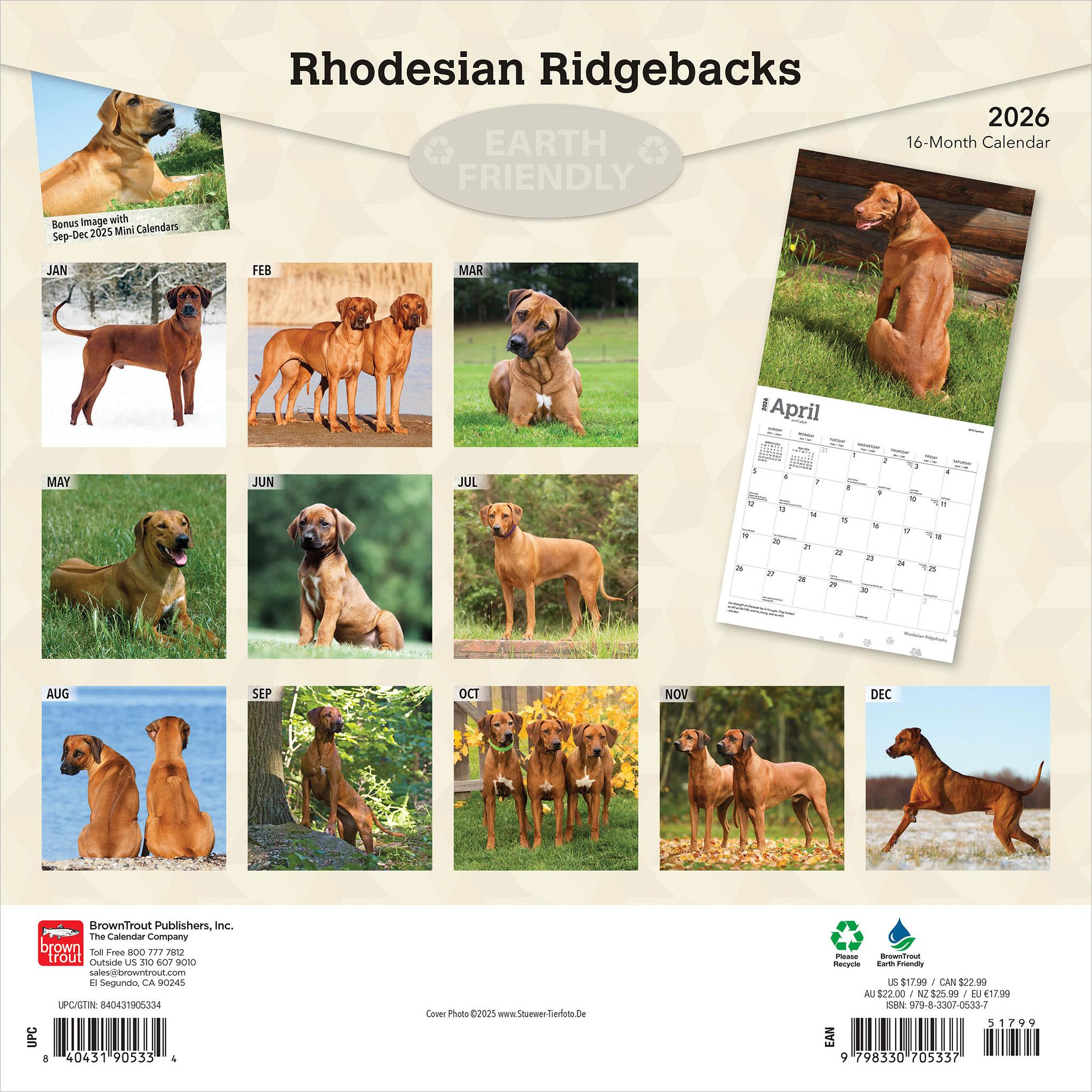 Rhodesian Ridgebacks 2026 Wall Calendar
