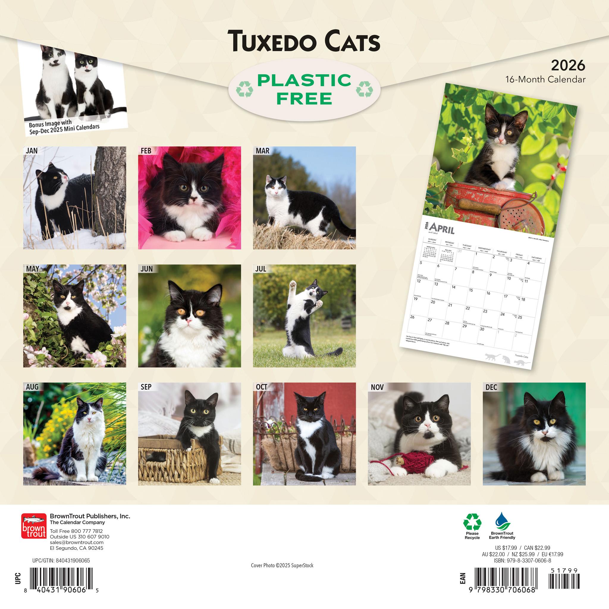 Tuxedo Cats 2026 Wall Calendar
