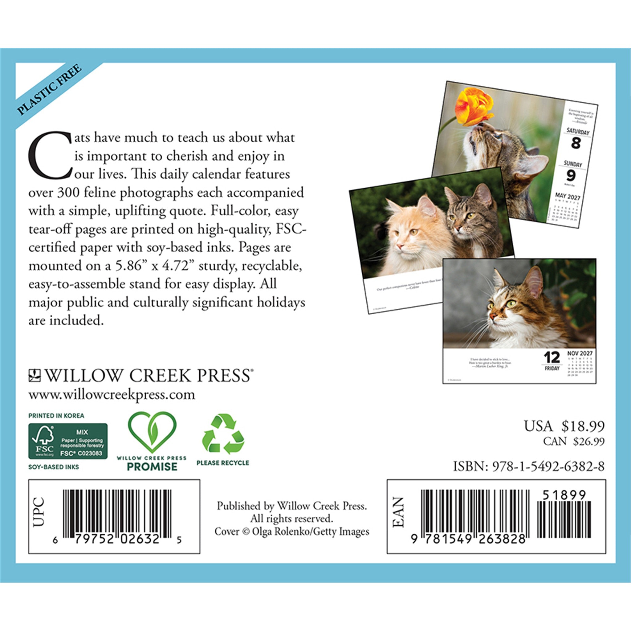What Cats Teach Us 2027 Box Calendar