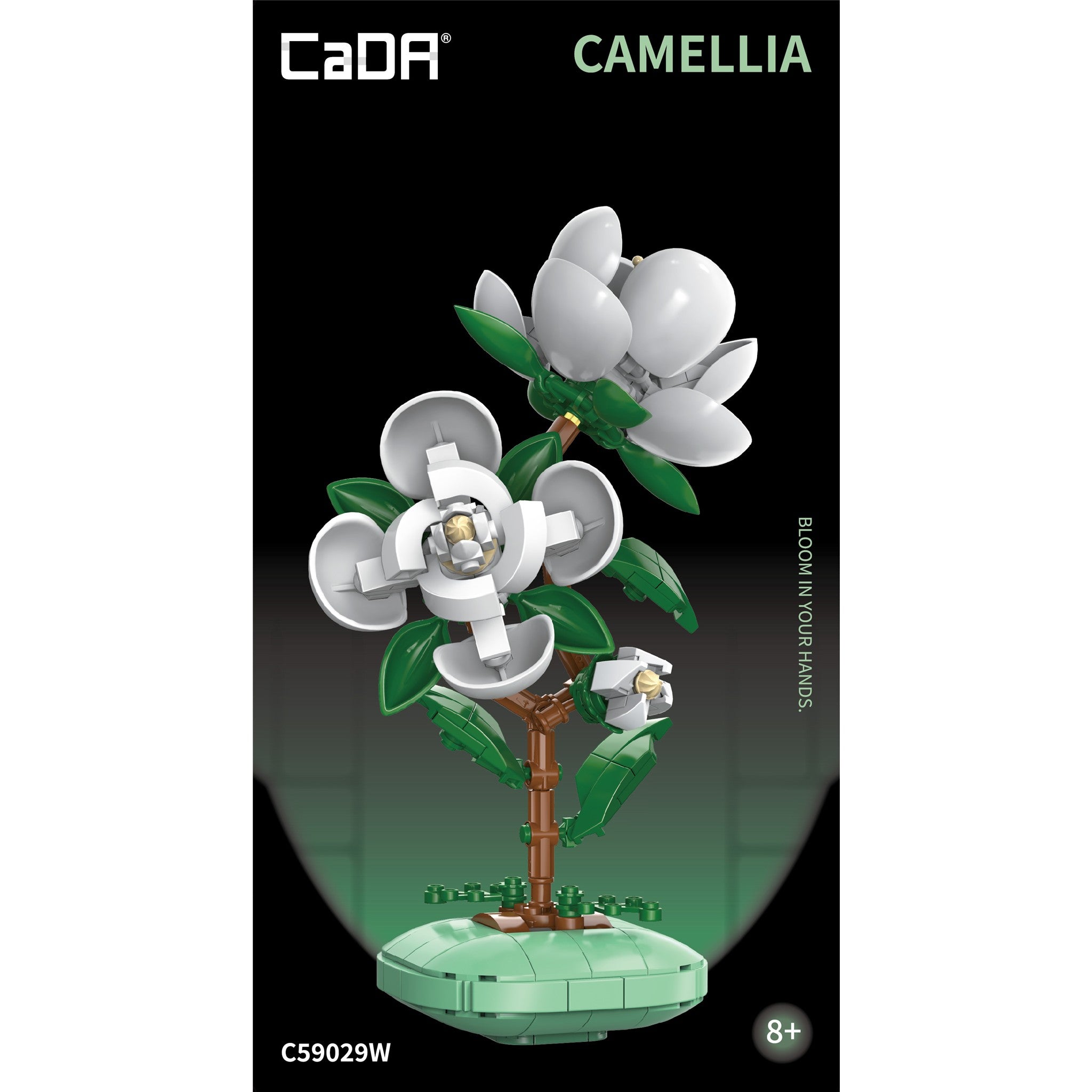 Camellia 301 Pieces