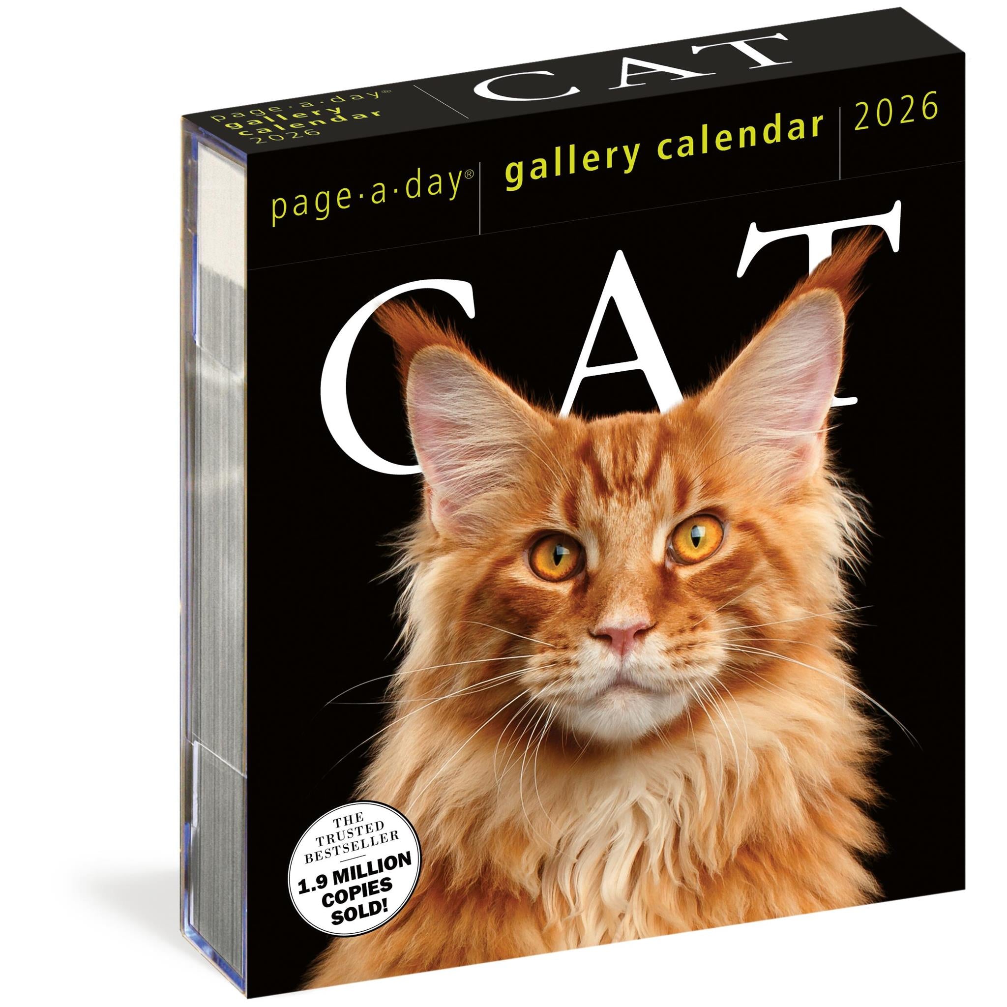 Cat Gallery 2026 Box Calendar packaging