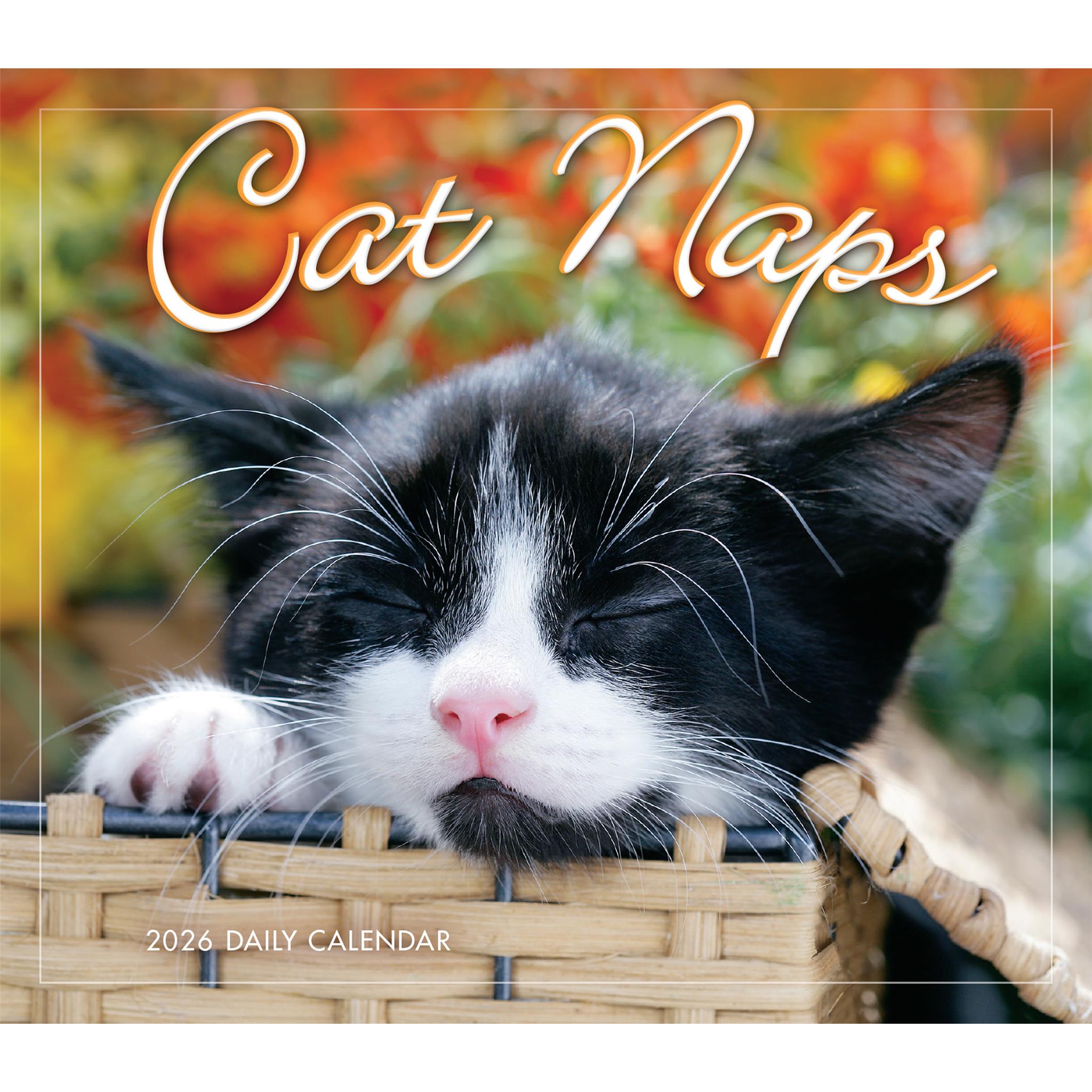 Cat Naps 2026 Box Calendar front cover