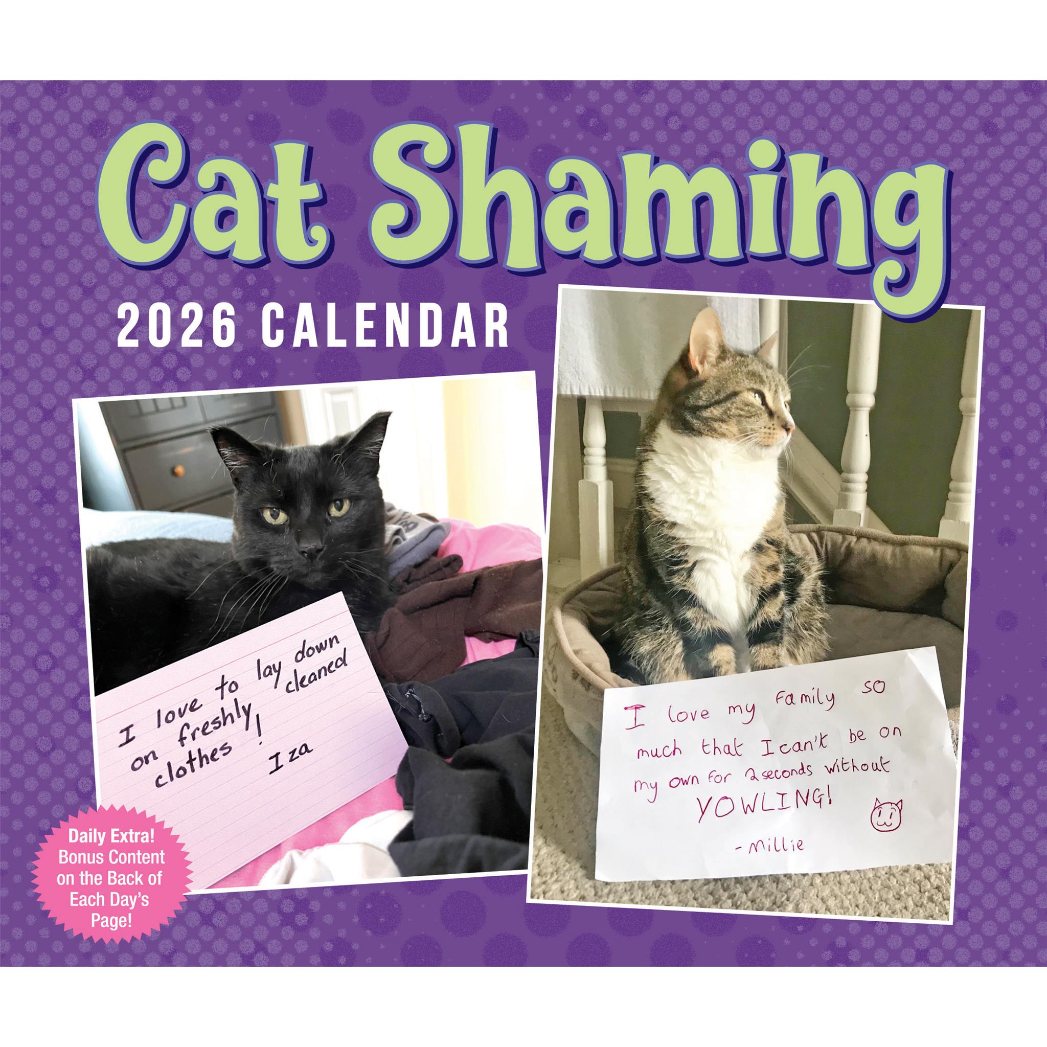 A packaging image for the 'Cat Shaming 2026 Box Calendar' featuring two cats with guilty expressions and notes scolding their behavior.