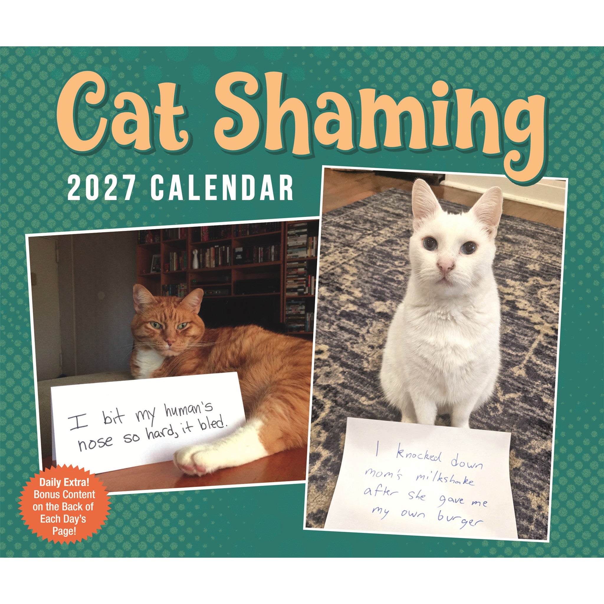 Cat Shaming 2027 Box Calendar