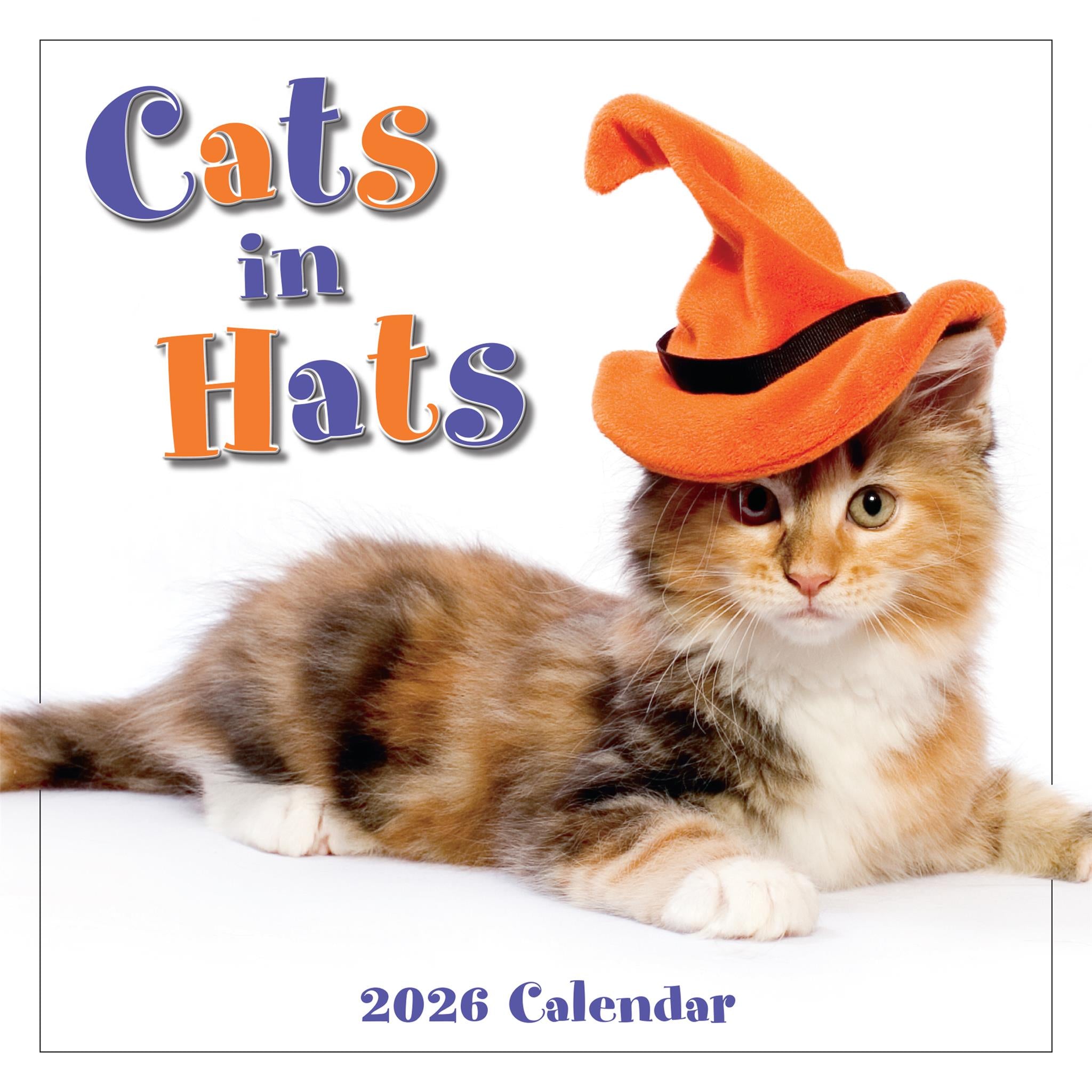 on a white background cats in hats text in alternating blue and orange. Kitten with orange pointy hat