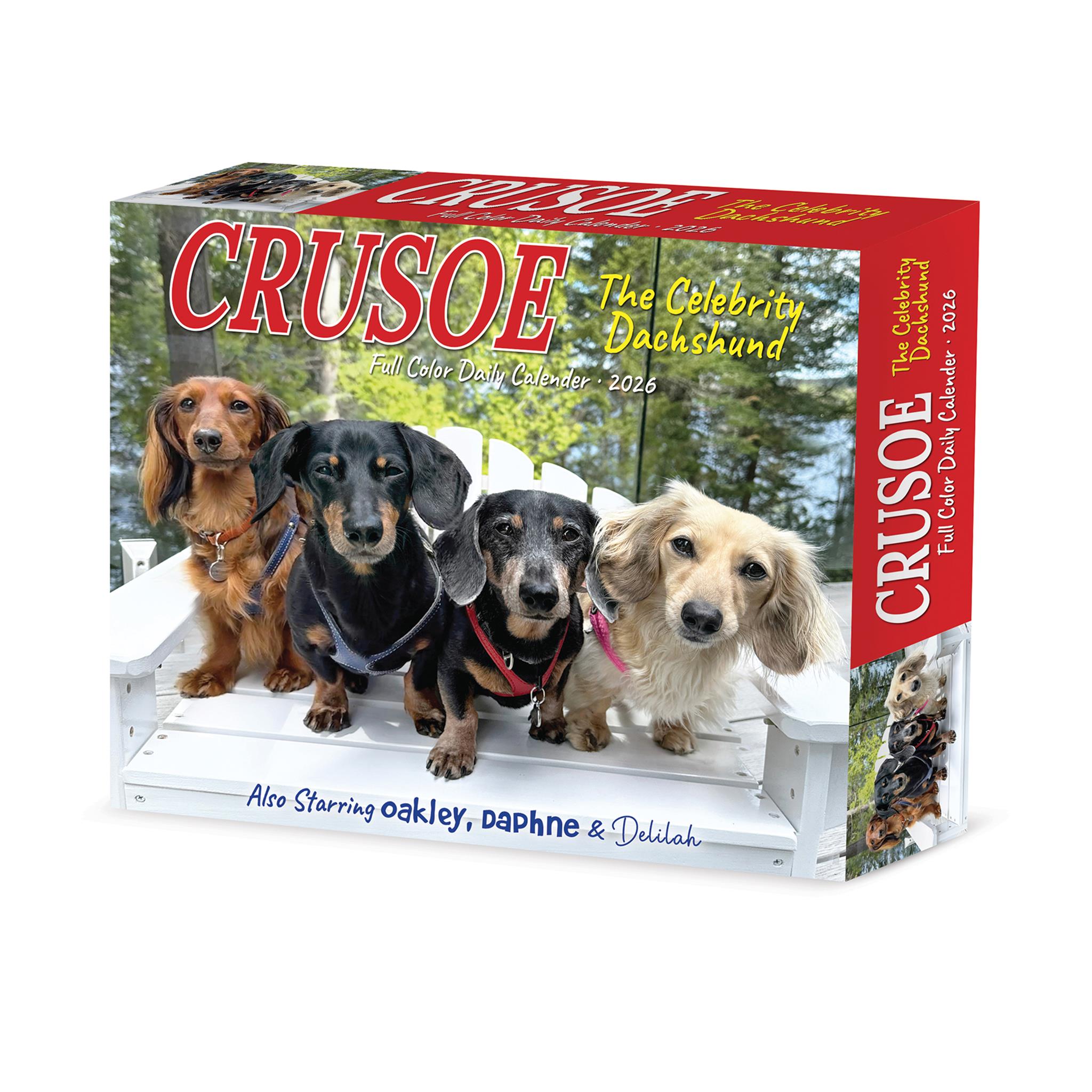 Crusoe The Celebrity Dachshund 2026 Box Calendar packaging image