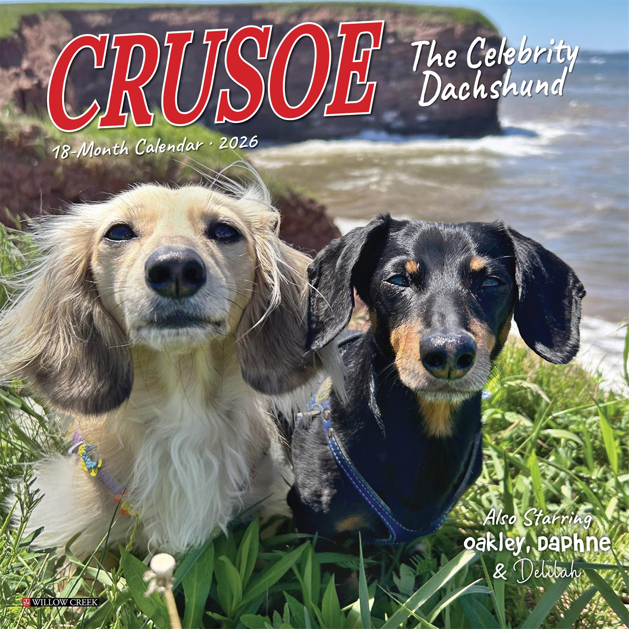 Crusoe Dachshund 2026 Mini Calendar