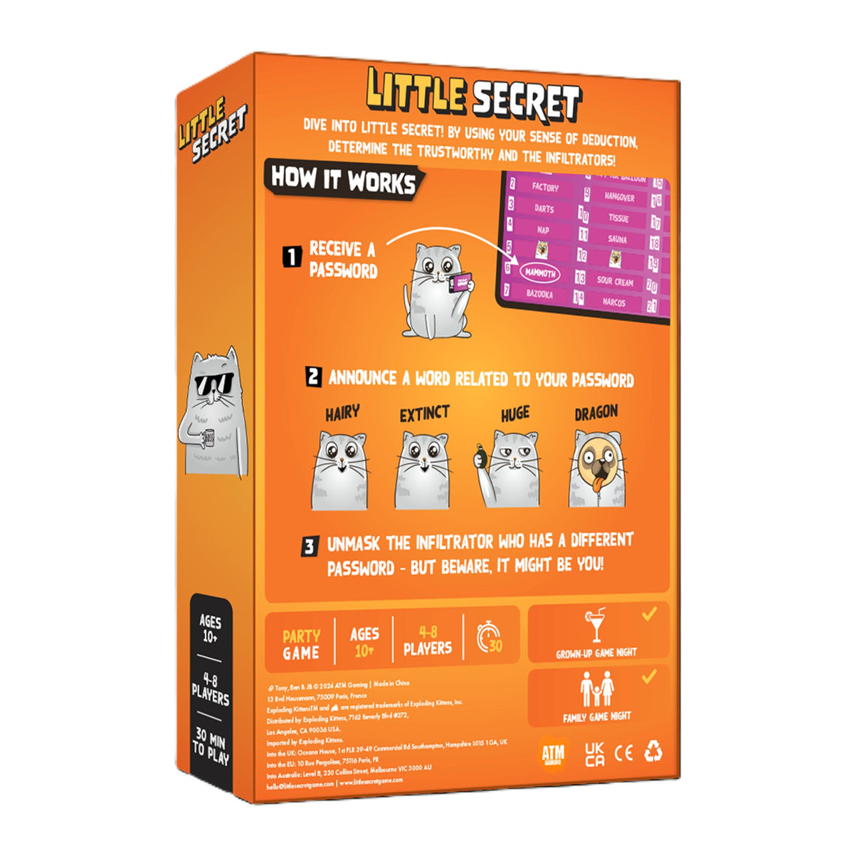 Little Secret