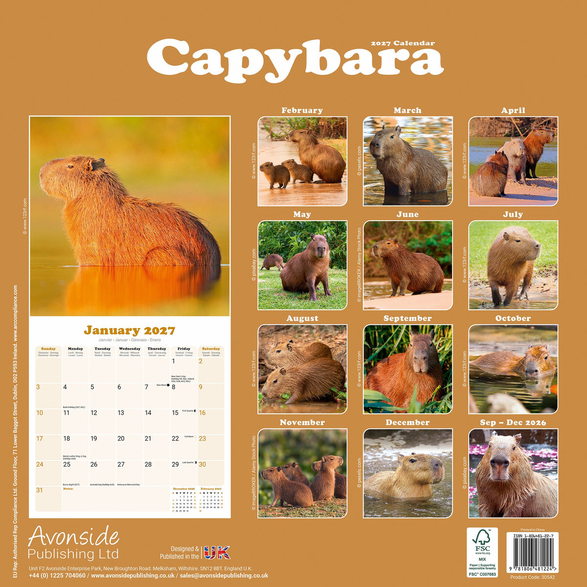 Capybara 2027 Wall Calendar