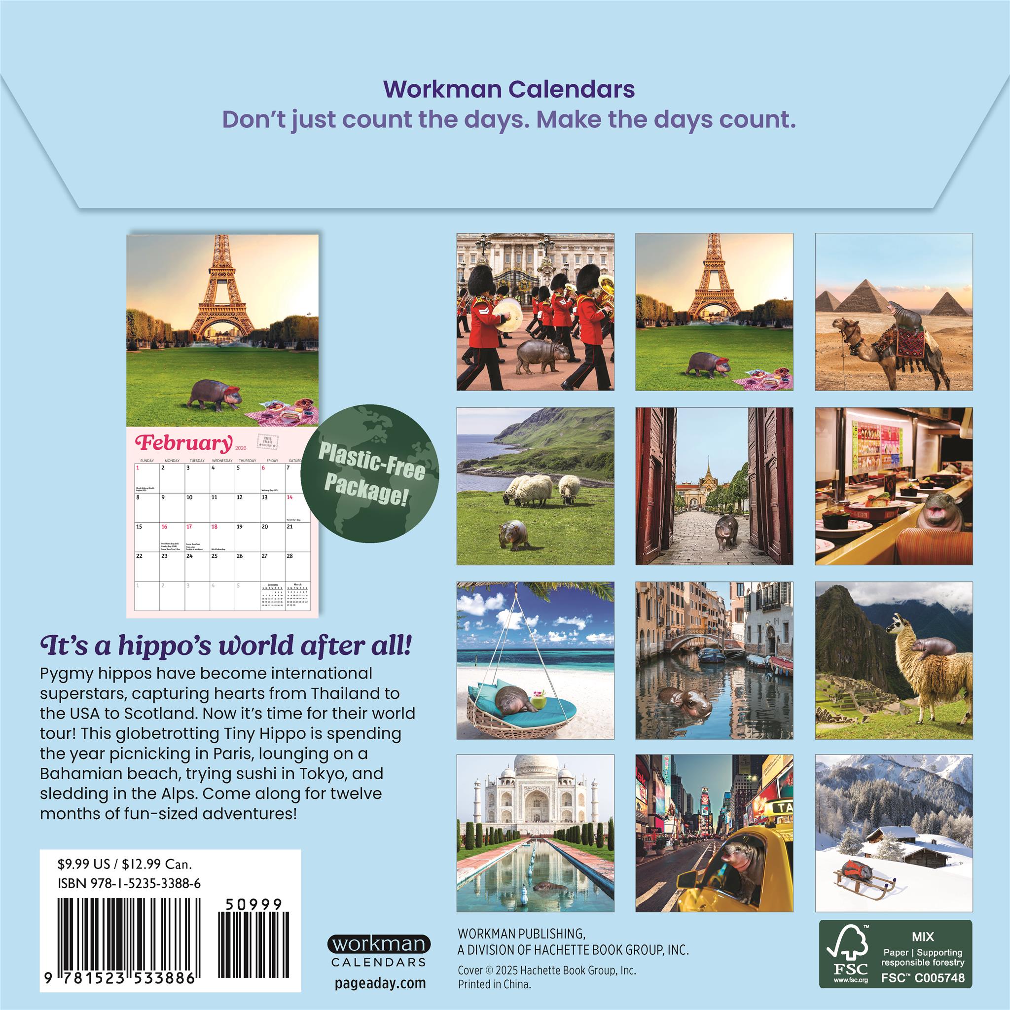 Tiny Hippo Big World 2026 Mini Calendar