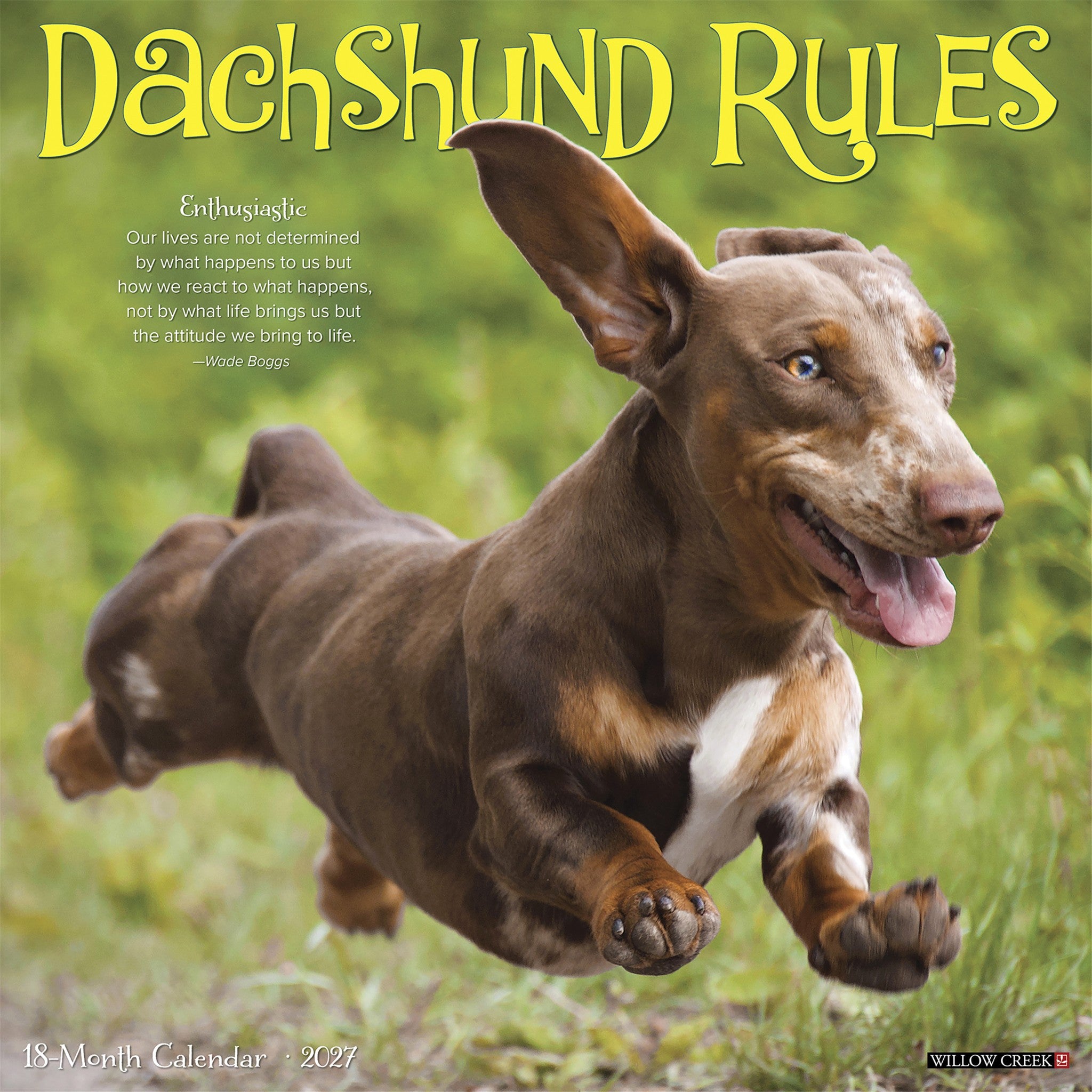 Dachshund Rules 2027 Wall Calendar