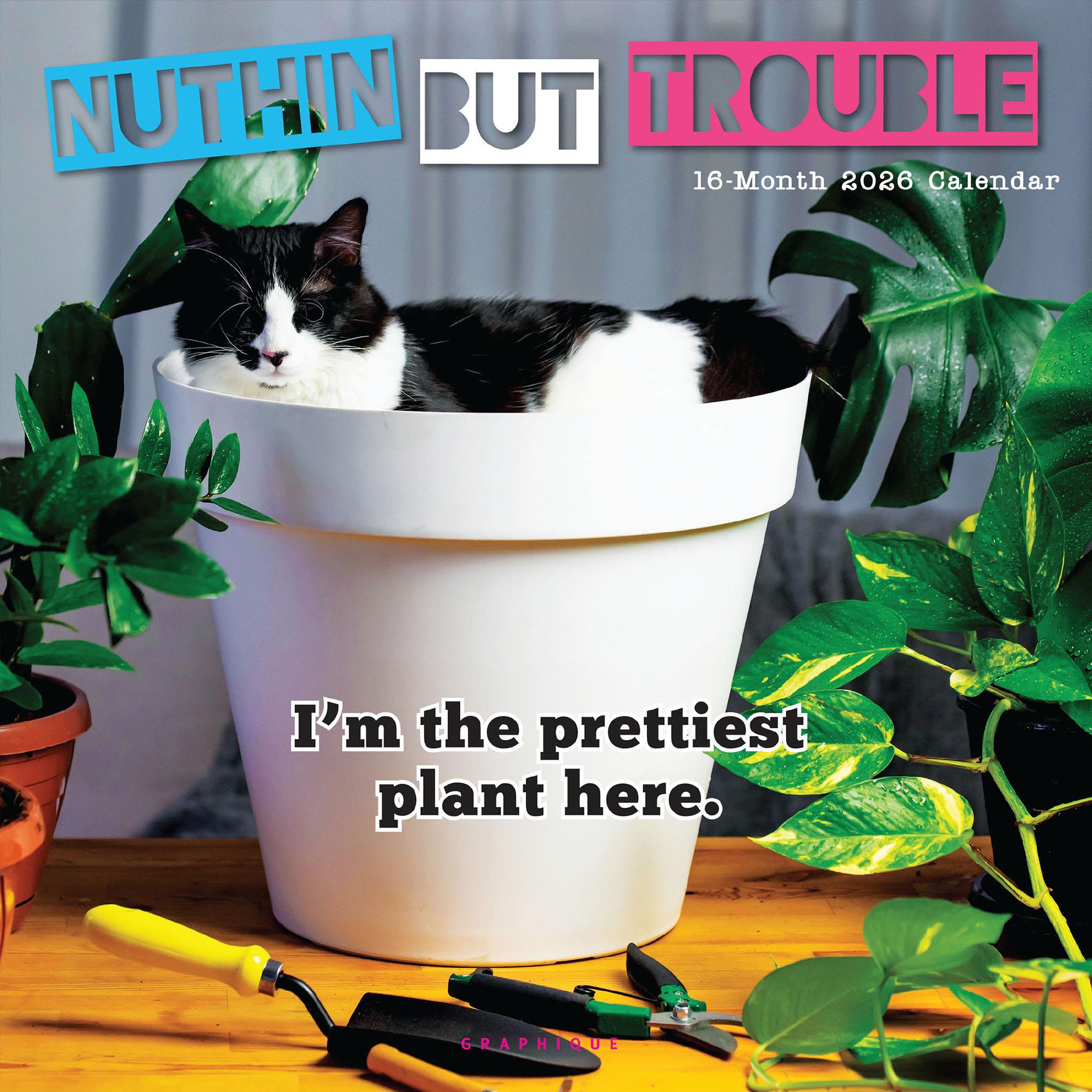 Nuthin' But Trouble 2026 Wall Calendar - Online Only
