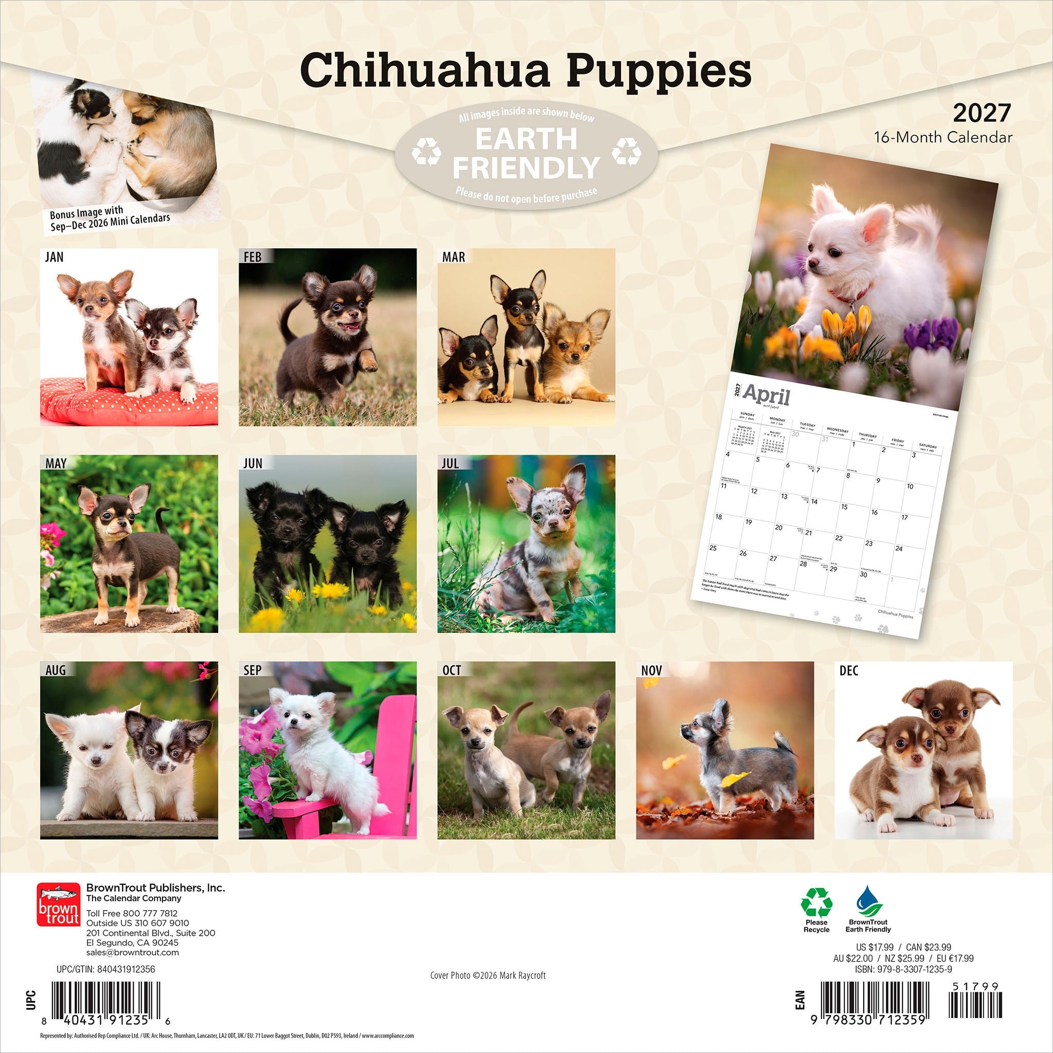 Chihuahua Puppies 2027 Wall Calendar