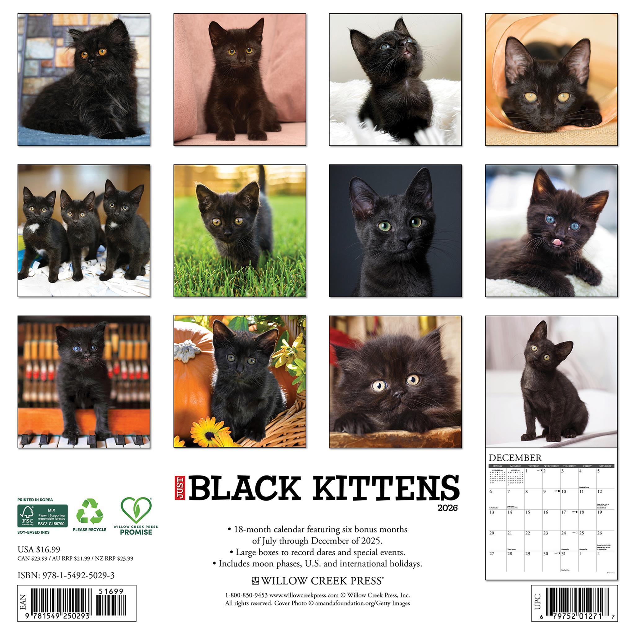 Just Black Kittens 2026 Wall Calendar - Online Only