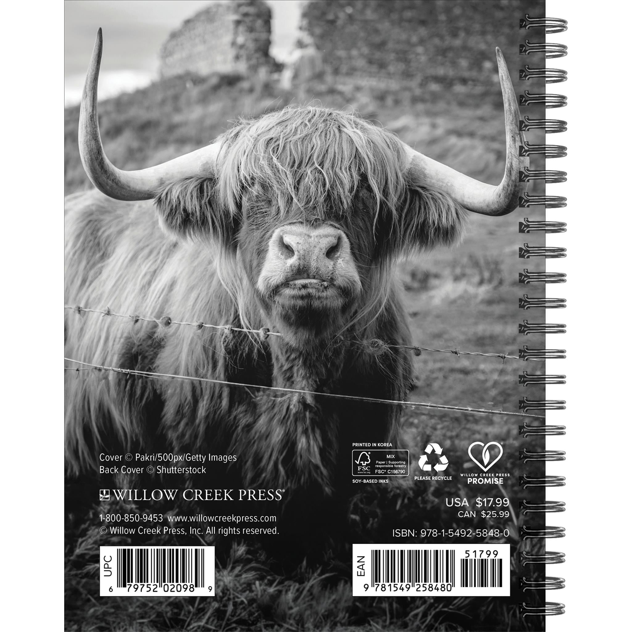 Highland Cows 2026 Engagement Calendar