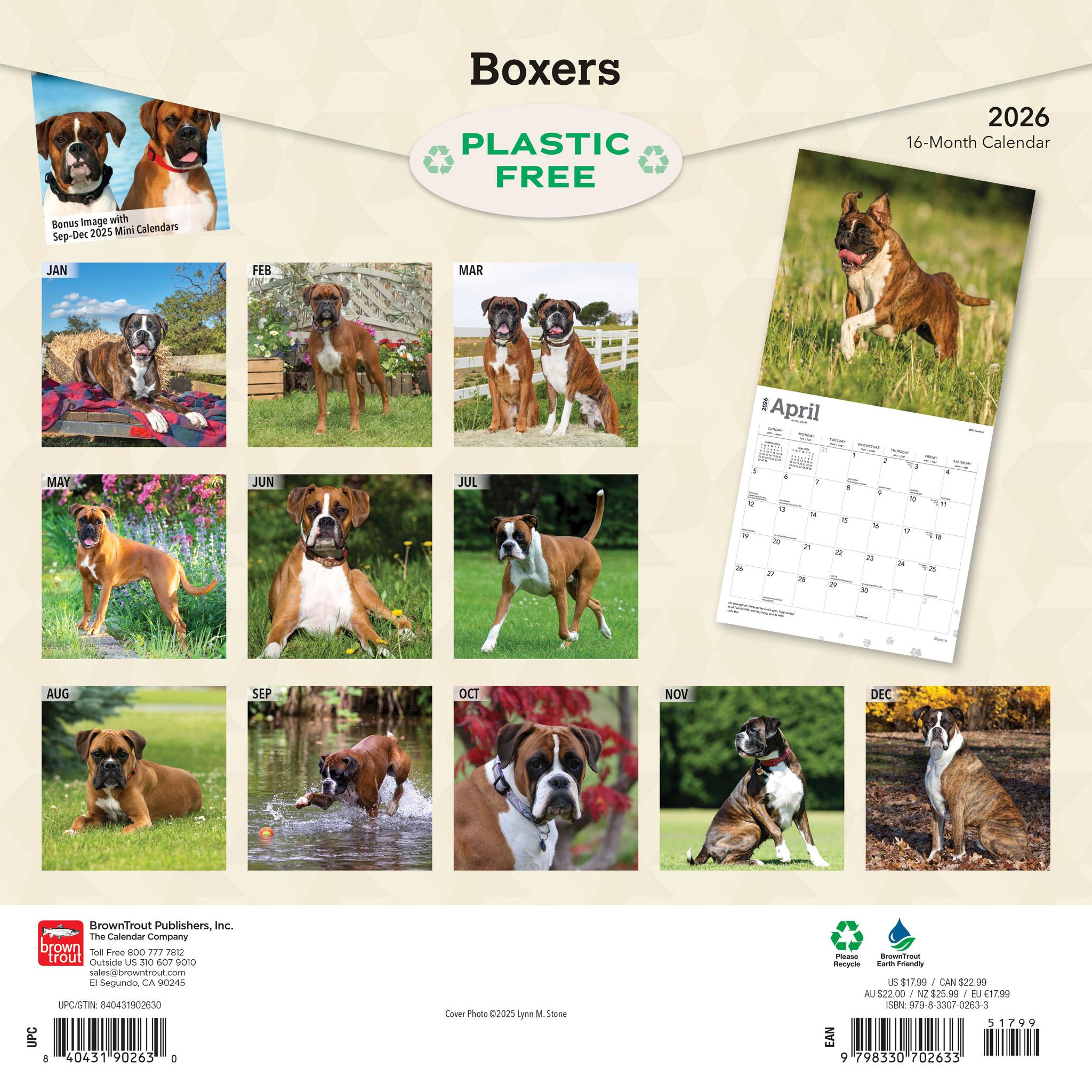 Boxers International 2026 Wall Calendar